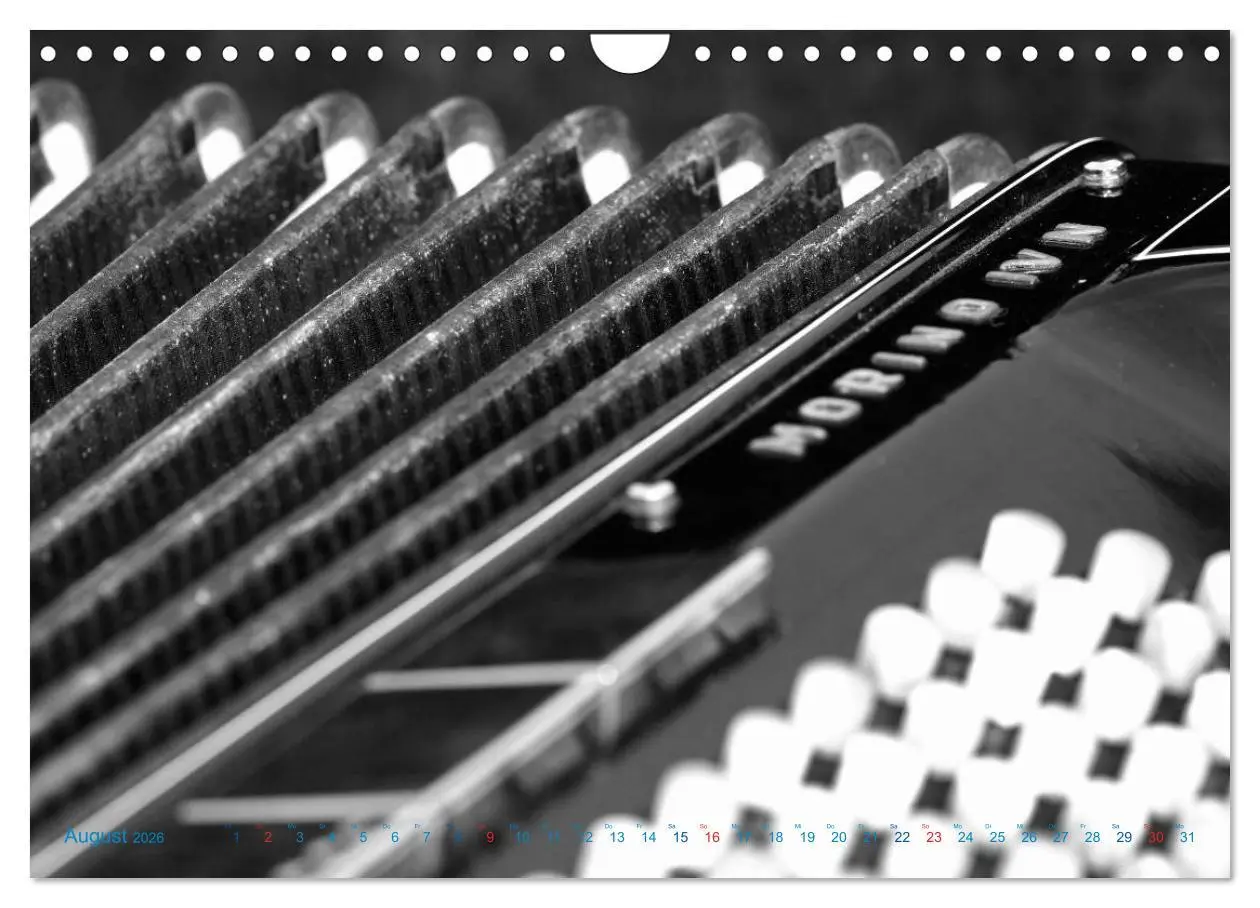 Bild: 9783457982891 | Akkordeon - close up (Wandkalender 2026 DIN A4 quer), CALVENDO...