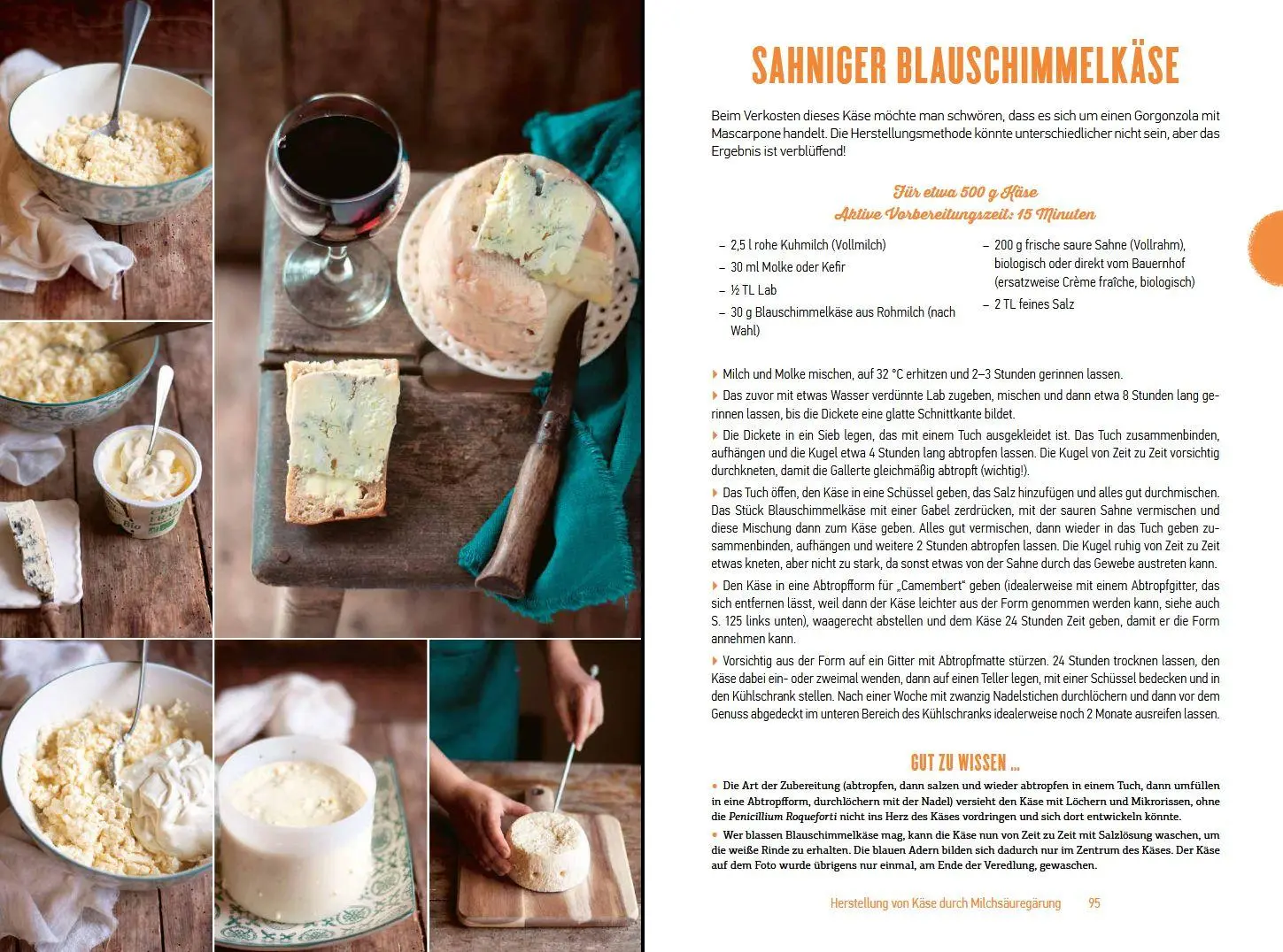 Bild: 9783702022891 | Köstlicher Käse einfach hausgemacht | 85 Rezepte | Marie Chioca | Buch