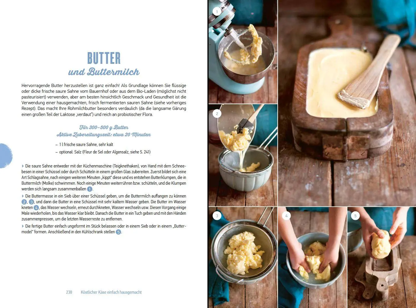 Bild: 9783702022891 | Köstlicher Käse einfach hausgemacht | 85 Rezepte | Marie Chioca | Buch