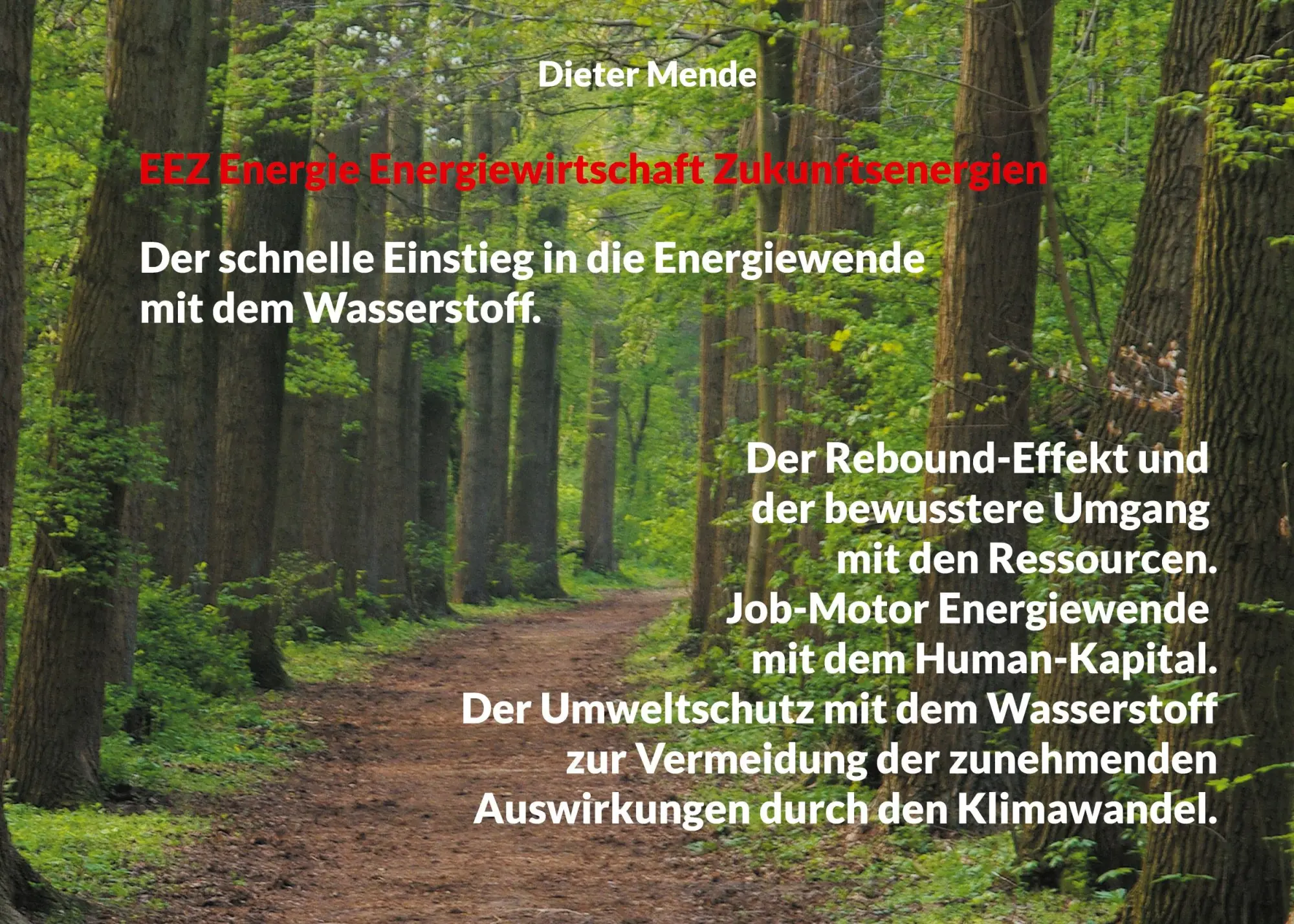 Cover: 9783758312991 | EEZ Energie Energiewirtschaft Zukunftsenergien | Dieter Mende | Buch