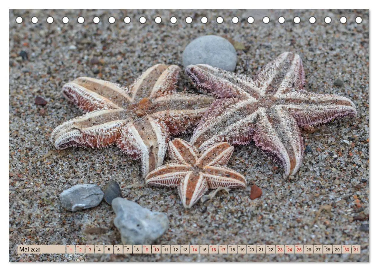 Bild: 9783457863091 | Timmendorfer Strand - Urlaubsparadies an der Ostsee (Tischkalender...