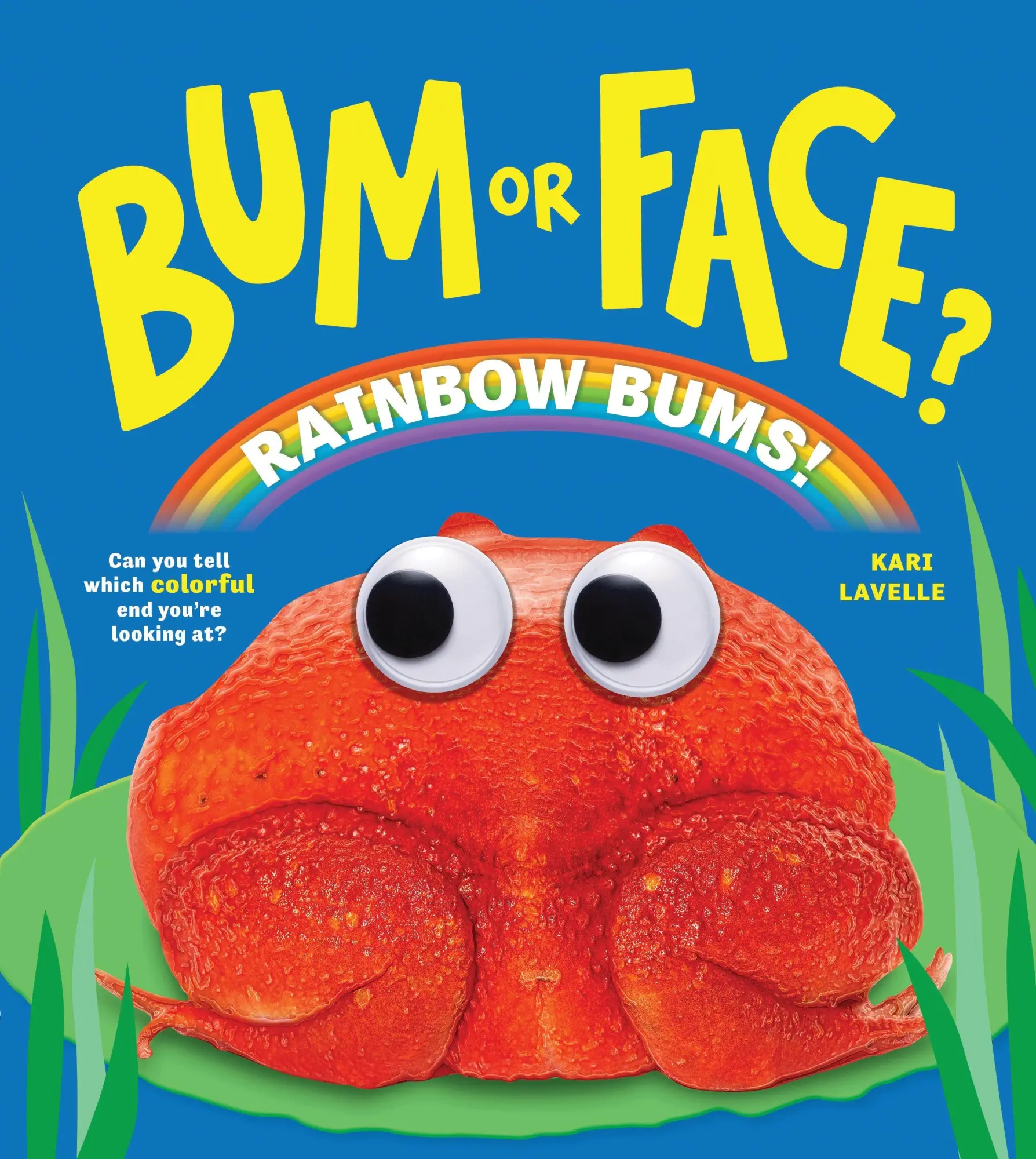 Cover: 9781464293191 | Bum or Face? Rainbow Bums | Kari Lavelle | Taschenbuch | Englisch