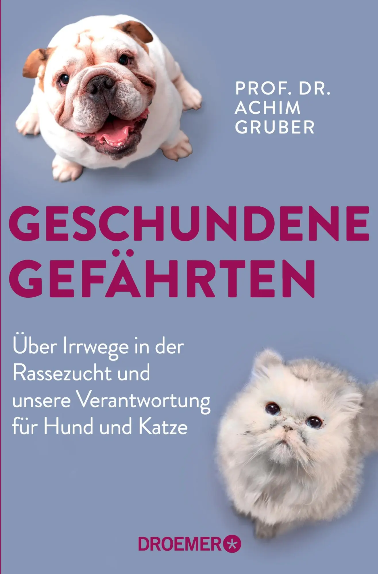 Cover: 9783426303191 | Geschundene Gefährten | Achim Gruber | Taschenbuch | 288 S. | Deutsch