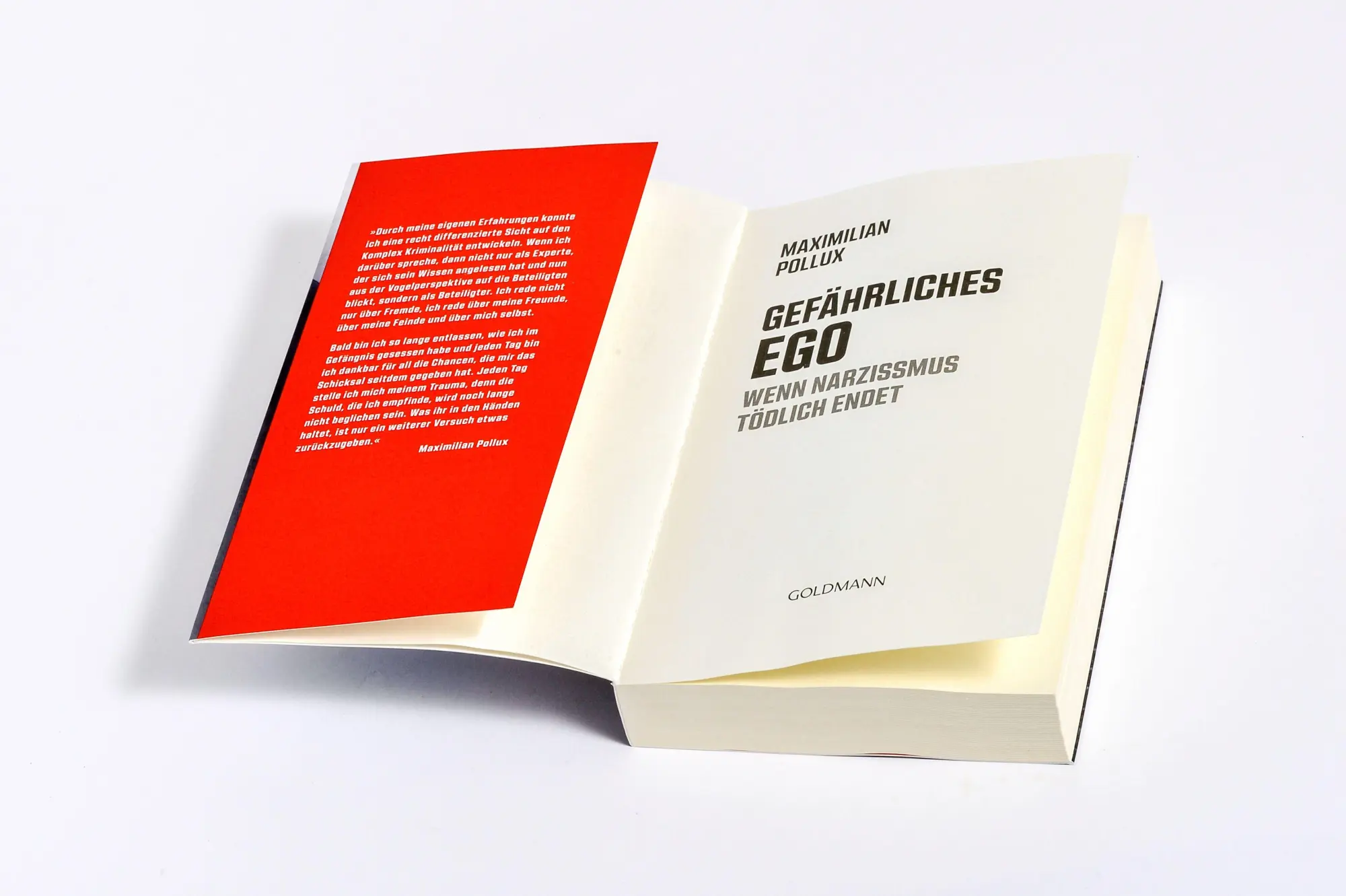 Bild: 9783442143191 | Gefährliches Ego | Maximilian Pollux | Taschenbuch | 320 S. | Deutsch