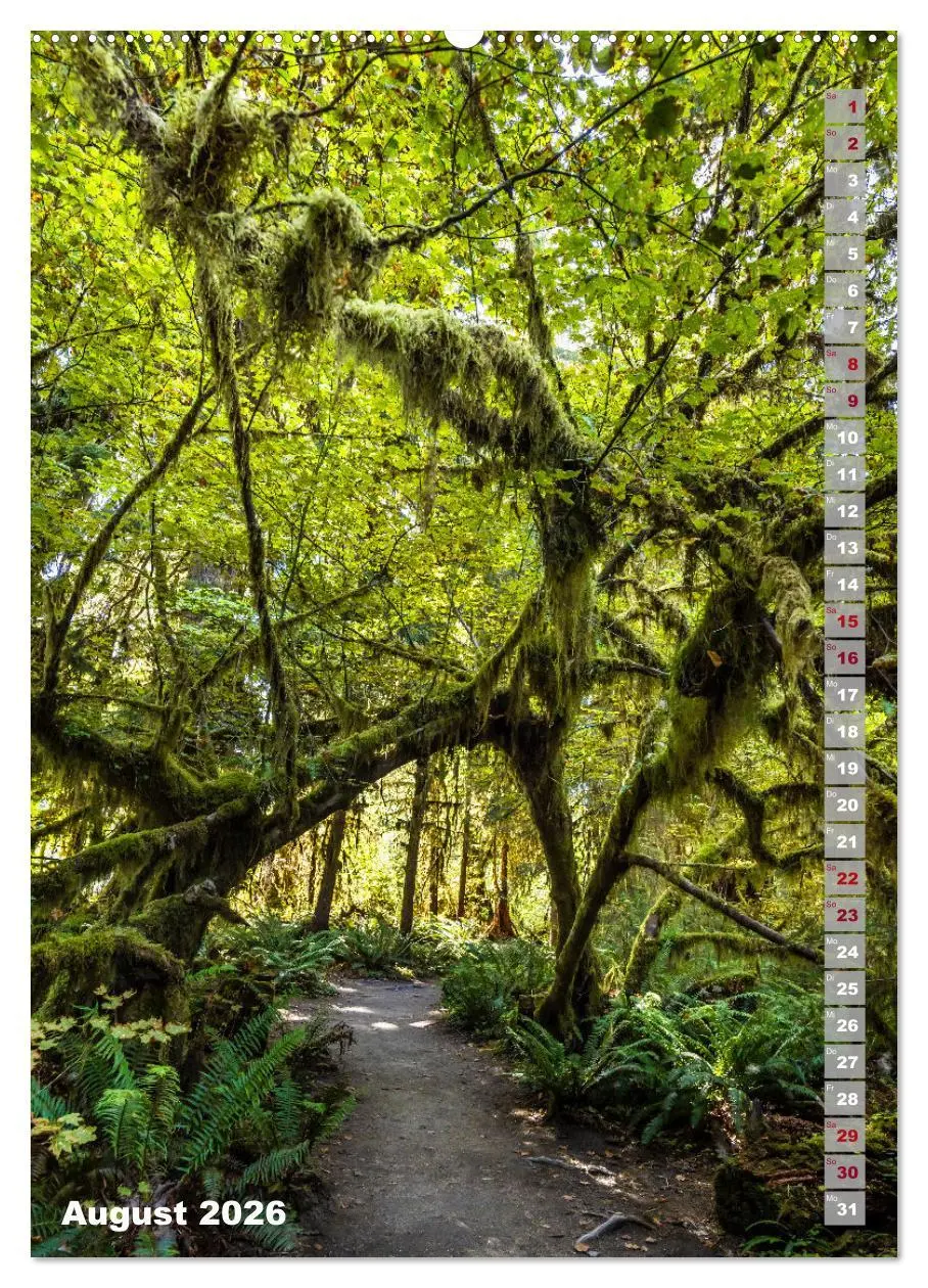 Bild: 9783516243291 | SEATTLE Imposante Stadt- und Naturimpressionen (Wandkalender 2026...