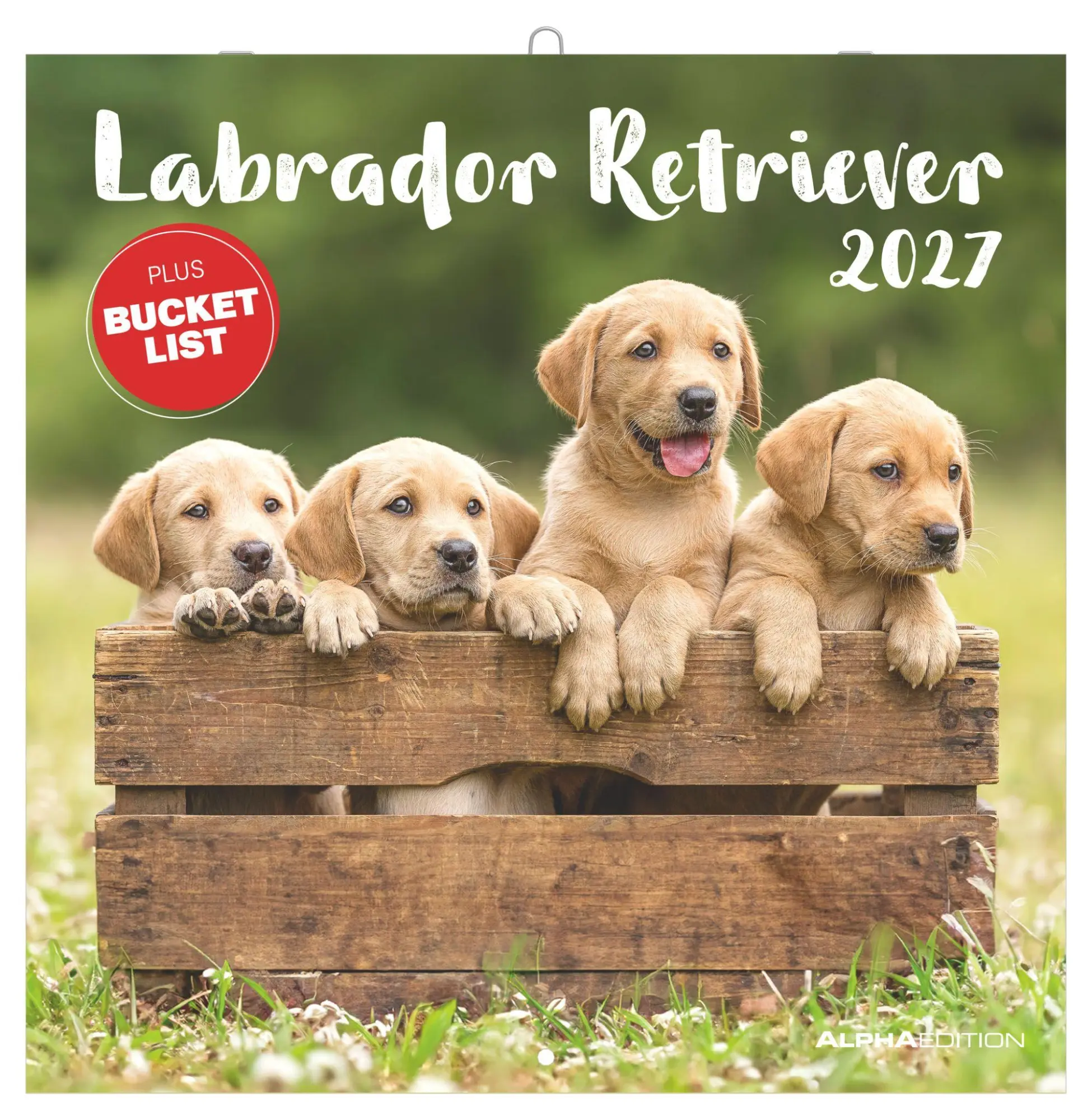 Cover: 4069095013391 | Labrador Retriever 2027 | Neumann Verlage GmbH &amp; Co KG | Kalender