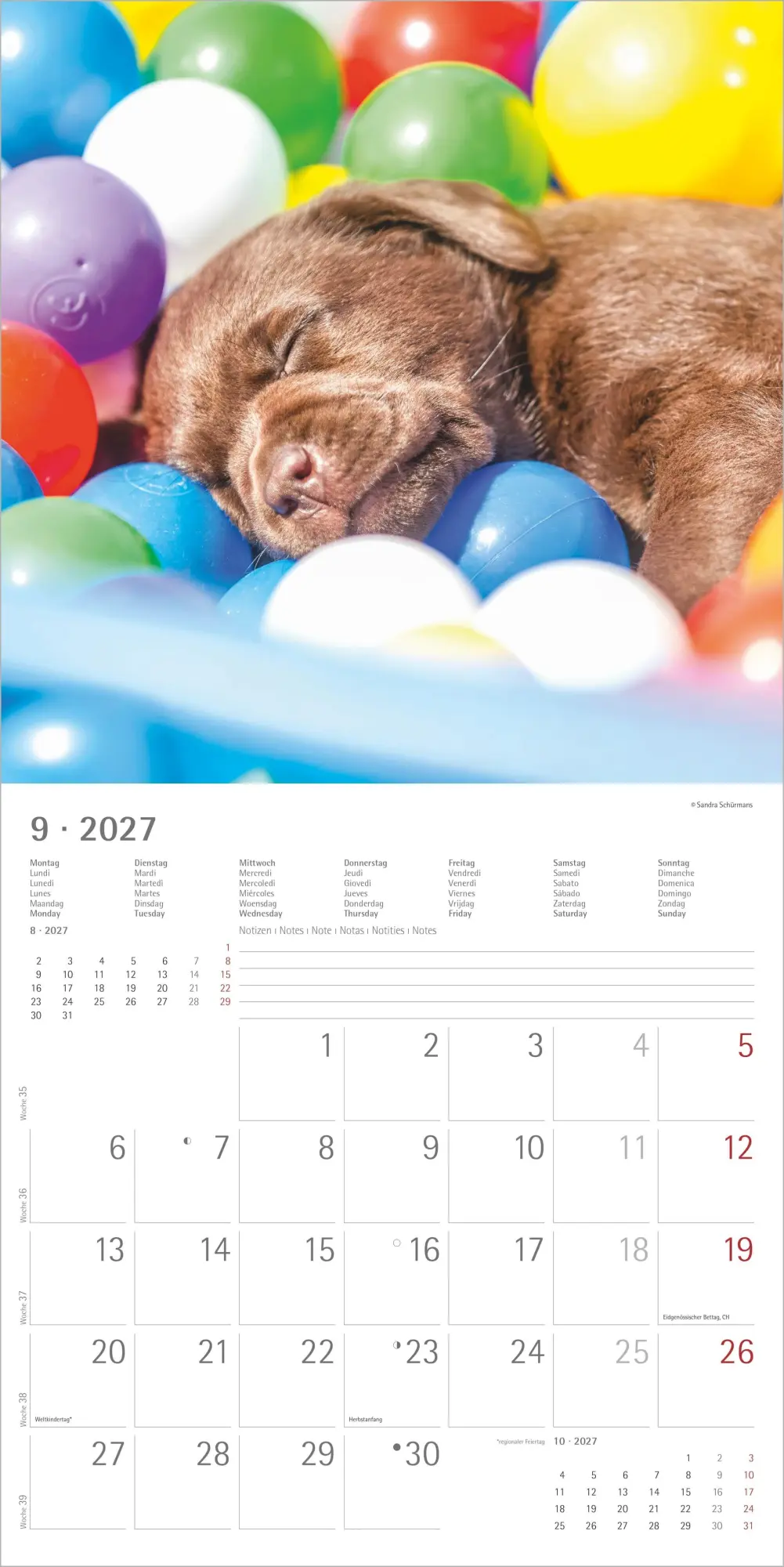 Bild: 4069095013391 | Labrador Retriever 2027 | Neumann Verlage GmbH &amp; Co KG | Kalender