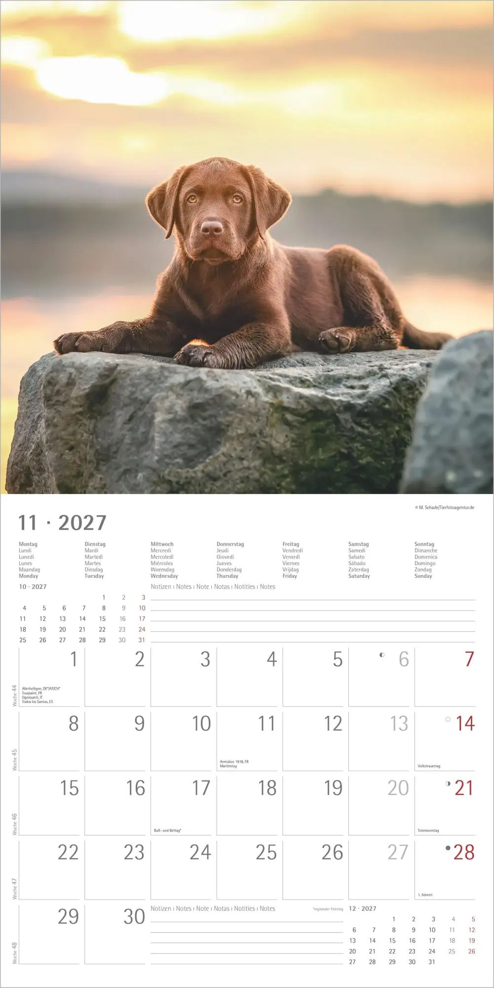 Bild: 4069095013391 | Labrador Retriever 2027 | Neumann Verlage GmbH &amp; Co KG | Kalender