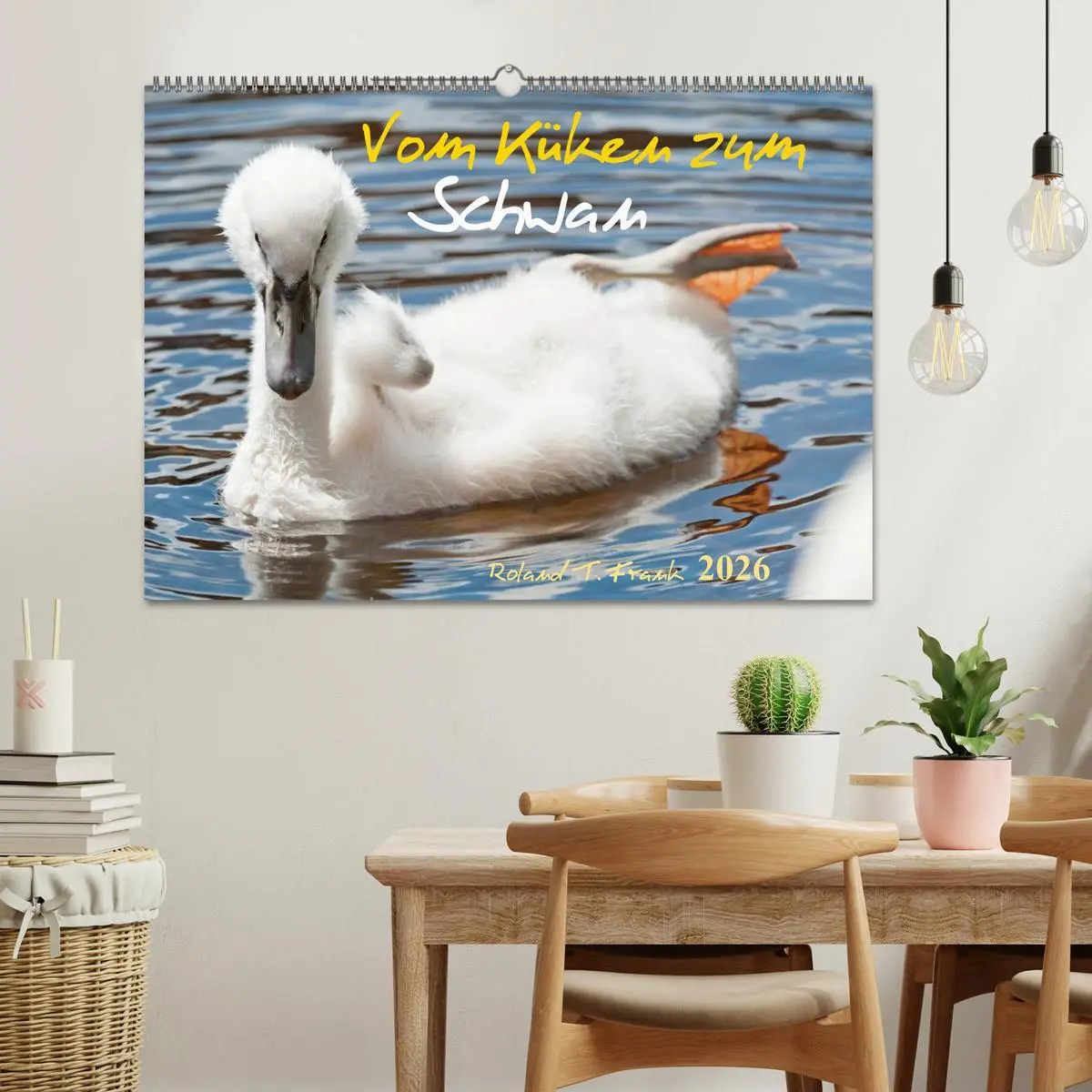 Bild: 9783516093391 | Vom Küken zum Schwan (Wandkalender 2026 DIN A2 quer), CALVENDO...