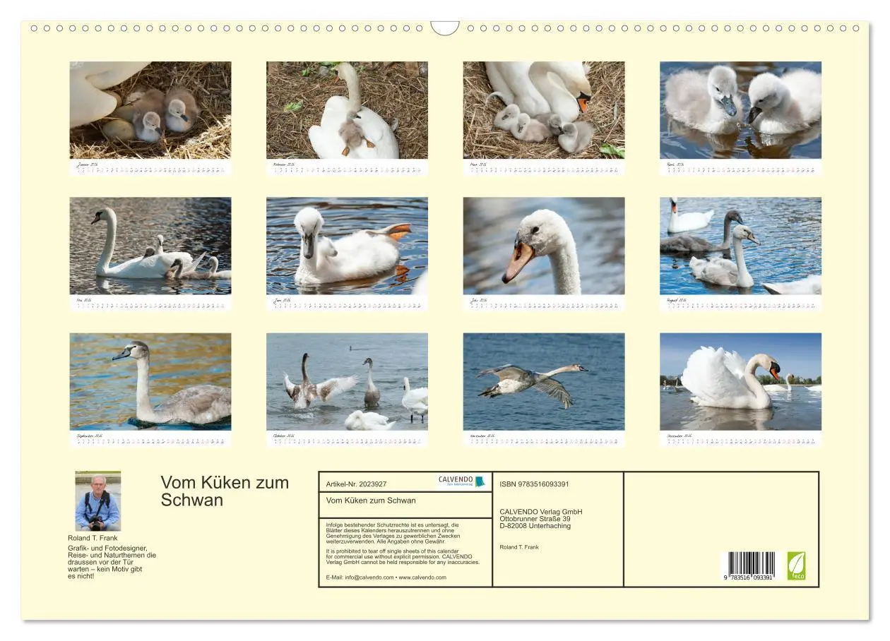 Bild: 9783516093391 | Vom Küken zum Schwan (Wandkalender 2026 DIN A2 quer), CALVENDO...