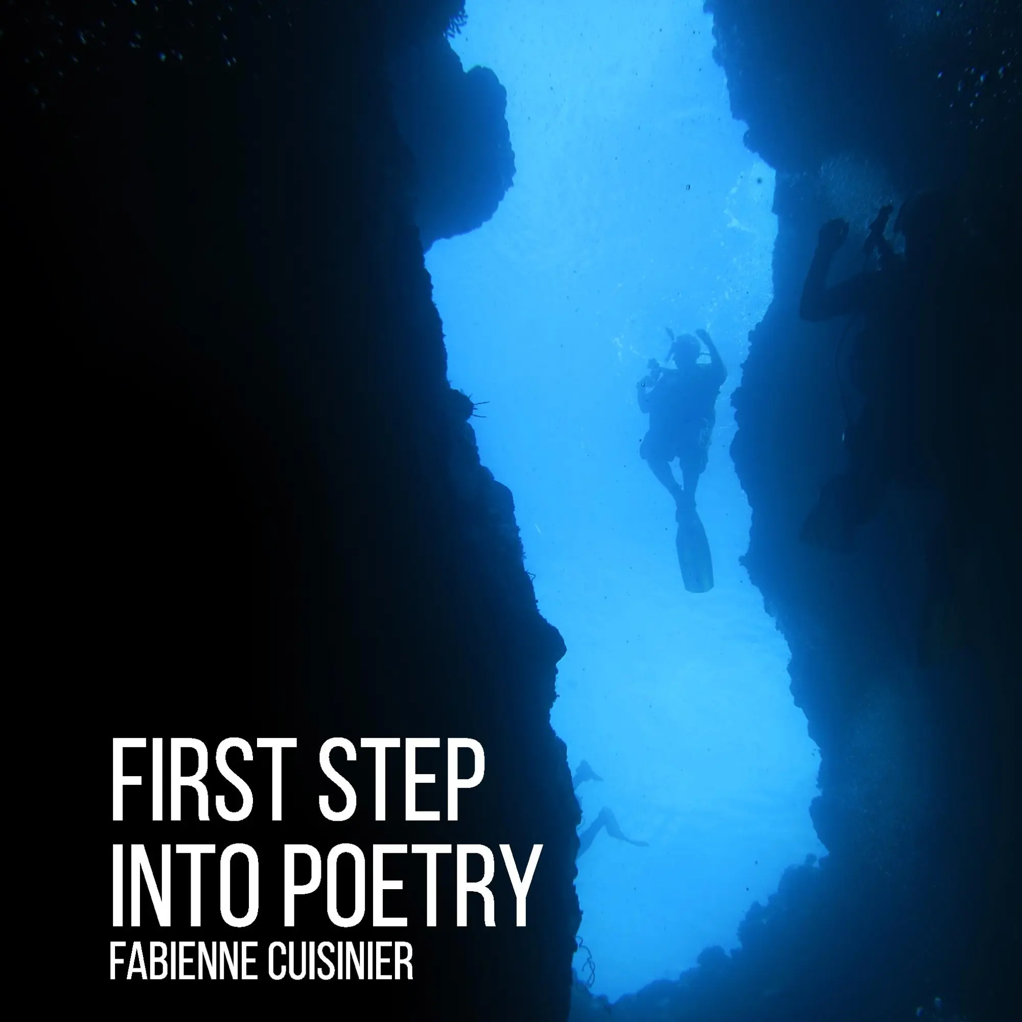 Cover: 9783739223391 | First Step Into Poetry | deep dive into the mystery of Life | Buch