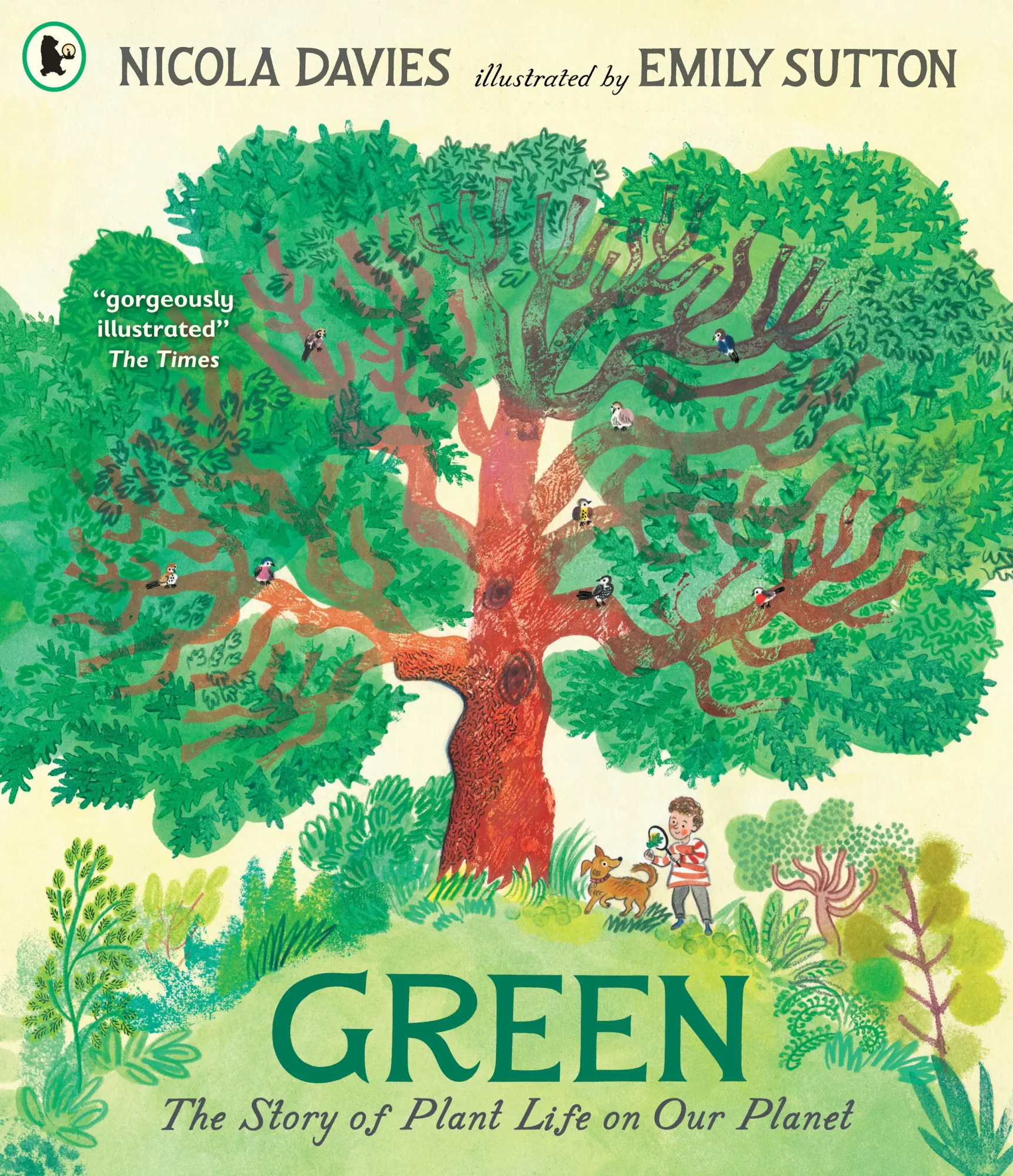 Cover: 9781529523591 | Green: The Story of Plant Life on Our Planet | Nicola Davies | Buch