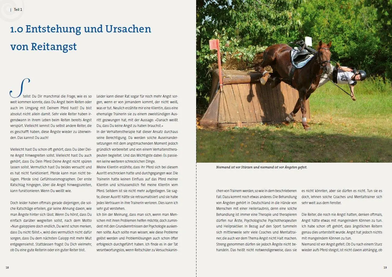 Bild: 9783275023691 | Equihypnose - Wege aus der Angst beim Reiten | Nicole Weber | Buch