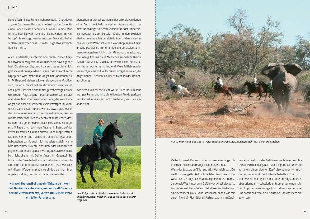 Bild: 9783275023691 | Equihypnose - Wege aus der Angst beim Reiten | Nicole Weber | Buch