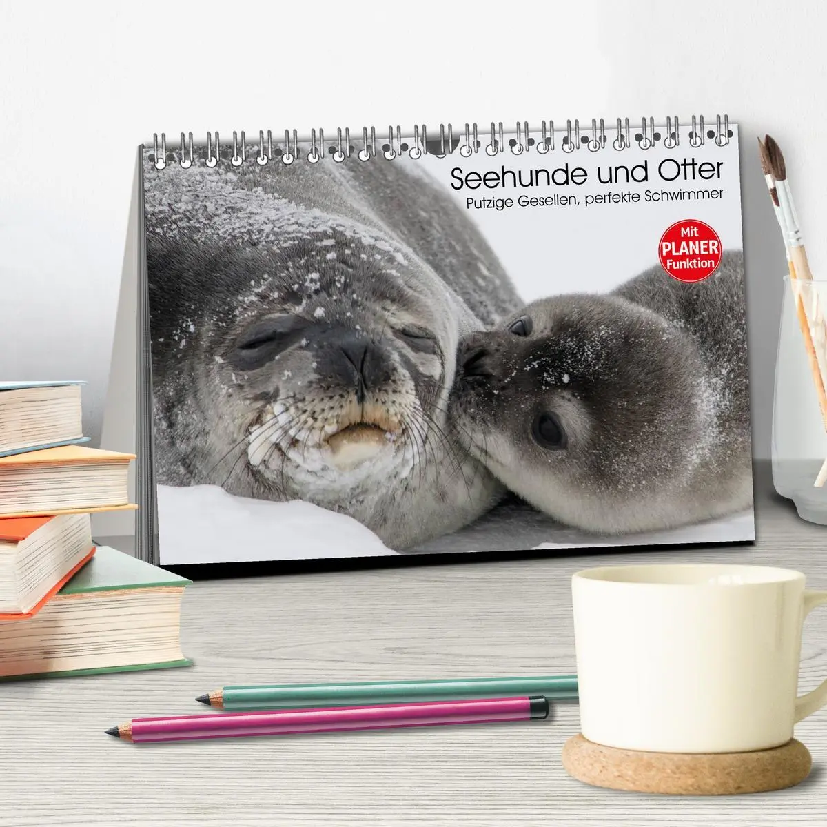Bild: 9783457973691 | Seehunde und Otter. Putzige Gesellen, perfekte Schwimmer...