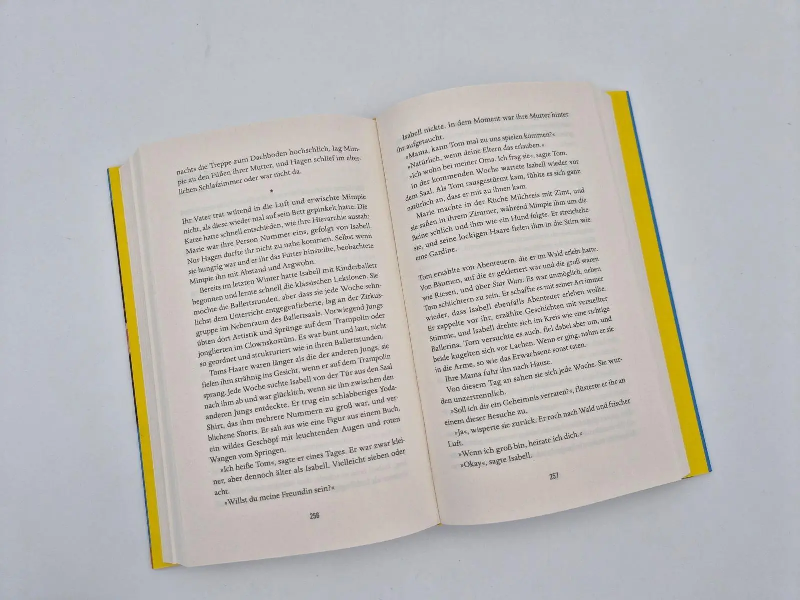 Bild: 9783492073691 | Niemands Töchter | Judith Hoersch | Buch | 384 S. | Deutsch | 2026