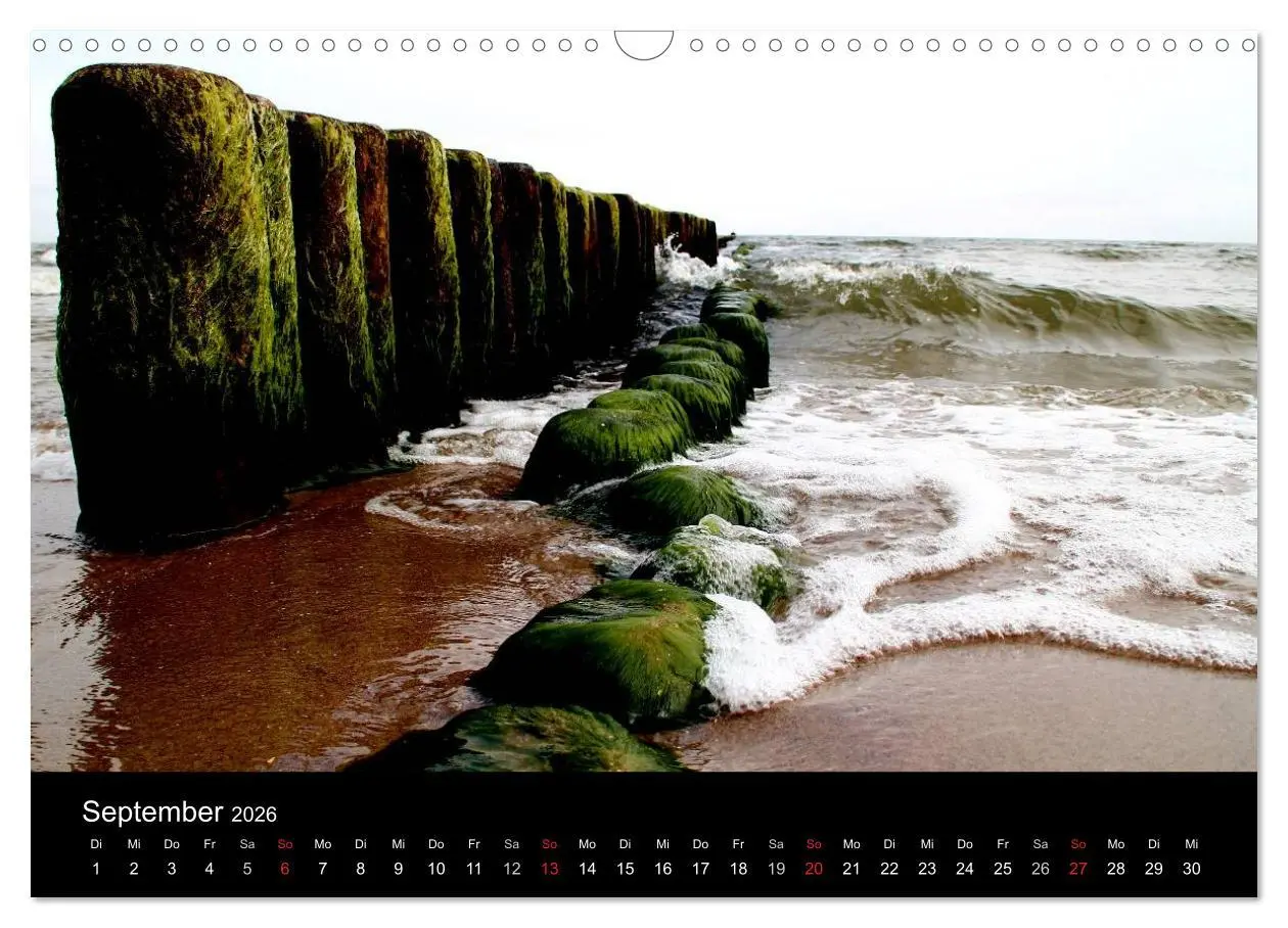 Bild: 9783516203691 | Usedom 2026 (Wandkalender 2026 DIN A3 quer), CALVENDO Monatskalender
