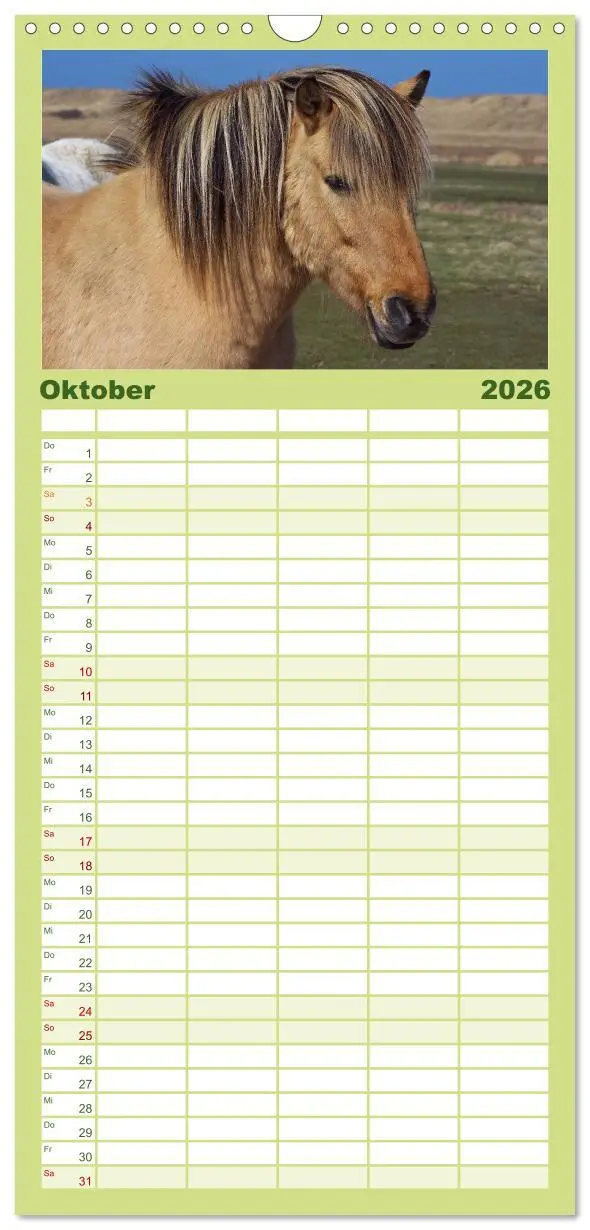 Bild: 9783516513691 | Familienplaner 2026 - Der Pferdekalender mit 5 Spalten...