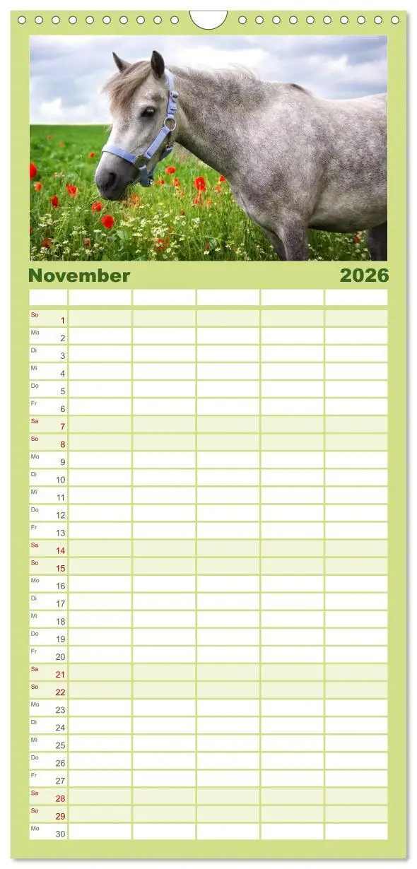 Bild: 9783516513691 | Familienplaner 2026 - Der Pferdekalender mit 5 Spalten...