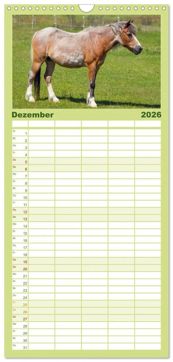 Bild: 9783516513691 | Familienplaner 2026 - Der Pferdekalender mit 5 Spalten...