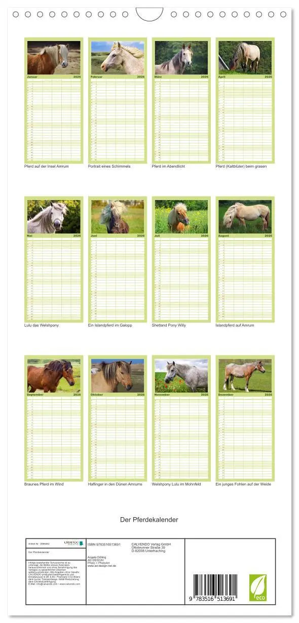 Bild: 9783516513691 | Familienplaner 2026 - Der Pferdekalender mit 5 Spalten...