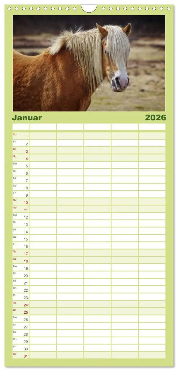 Bild: 9783516513691 | Familienplaner 2026 - Der Pferdekalender mit 5 Spalten...