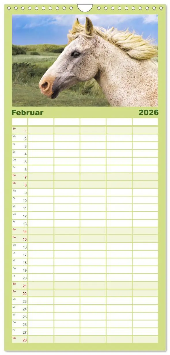 Bild: 9783516513691 | Familienplaner 2026 - Der Pferdekalender mit 5 Spalten...