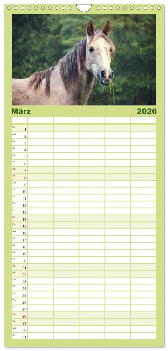 Bild: 9783516513691 | Familienplaner 2026 - Der Pferdekalender mit 5 Spalten...