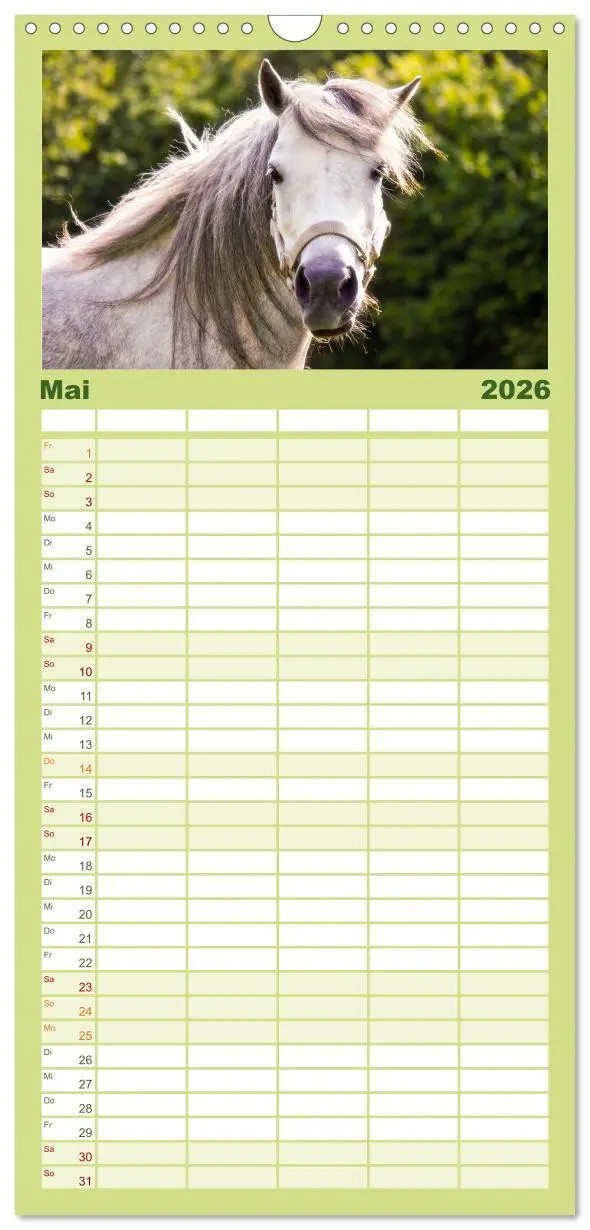 Bild: 9783516513691 | Familienplaner 2026 - Der Pferdekalender mit 5 Spalten...