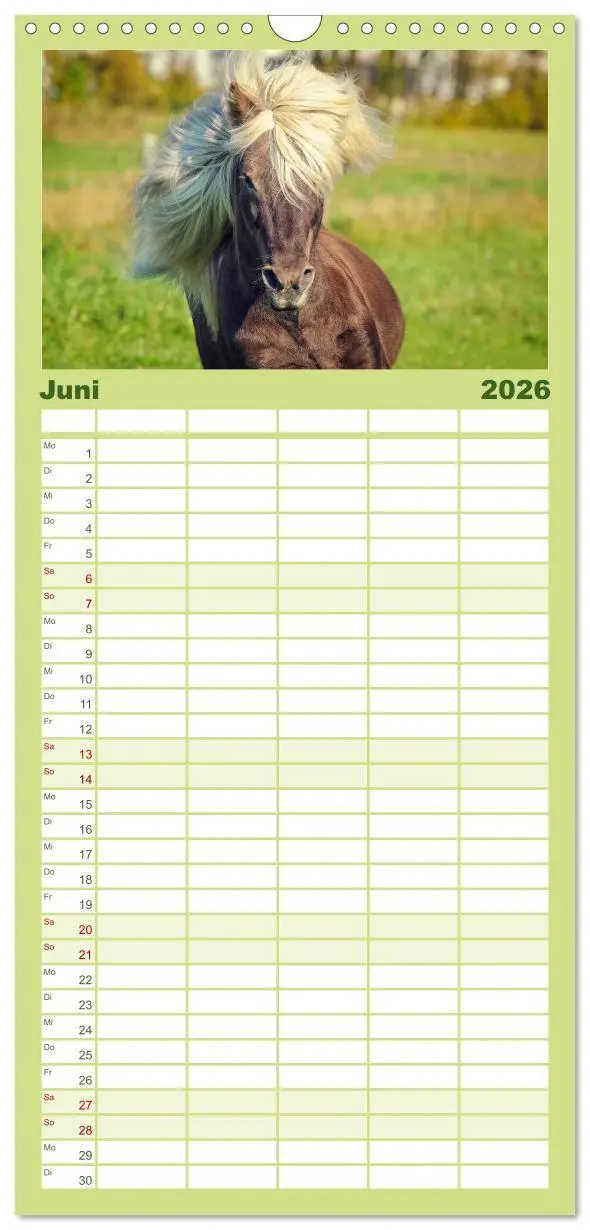 Bild: 9783516513691 | Familienplaner 2026 - Der Pferdekalender mit 5 Spalten...