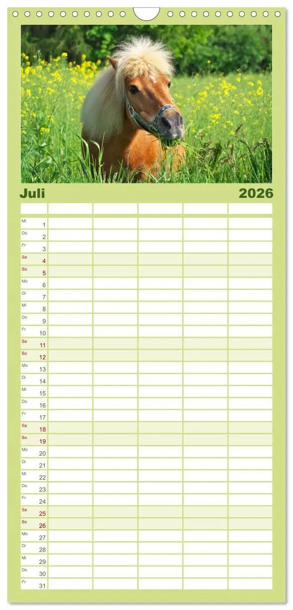 Bild: 9783516513691 | Familienplaner 2026 - Der Pferdekalender mit 5 Spalten...