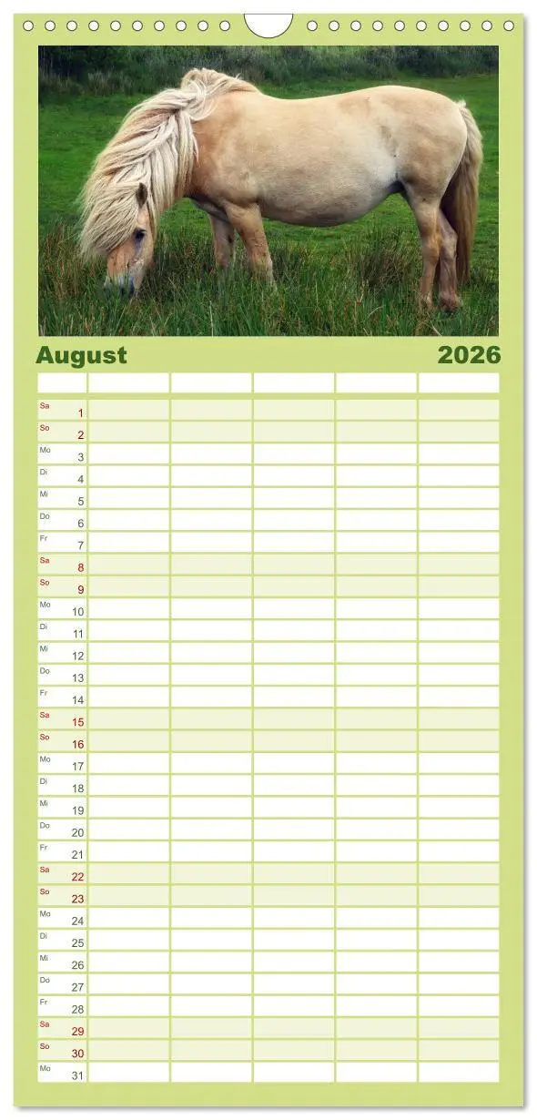 Bild: 9783516513691 | Familienplaner 2026 - Der Pferdekalender mit 5 Spalten...