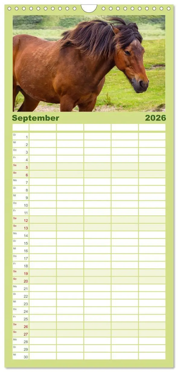 Bild: 9783516513691 | Familienplaner 2026 - Der Pferdekalender mit 5 Spalten...