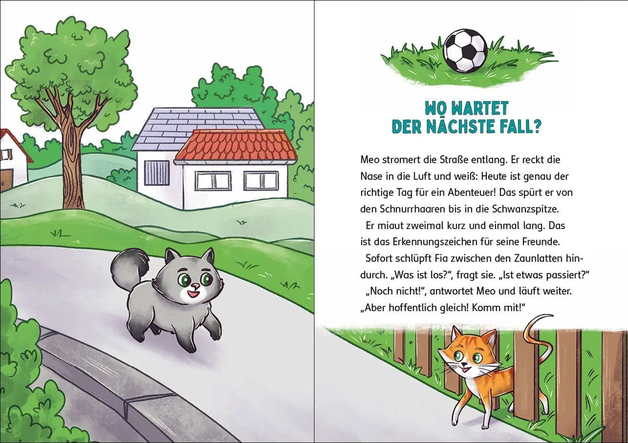 Bild: 9783743223691 | Die Katzen-Detektive (Band 1) - Ein Fall für die Samtpfoten | Frixe