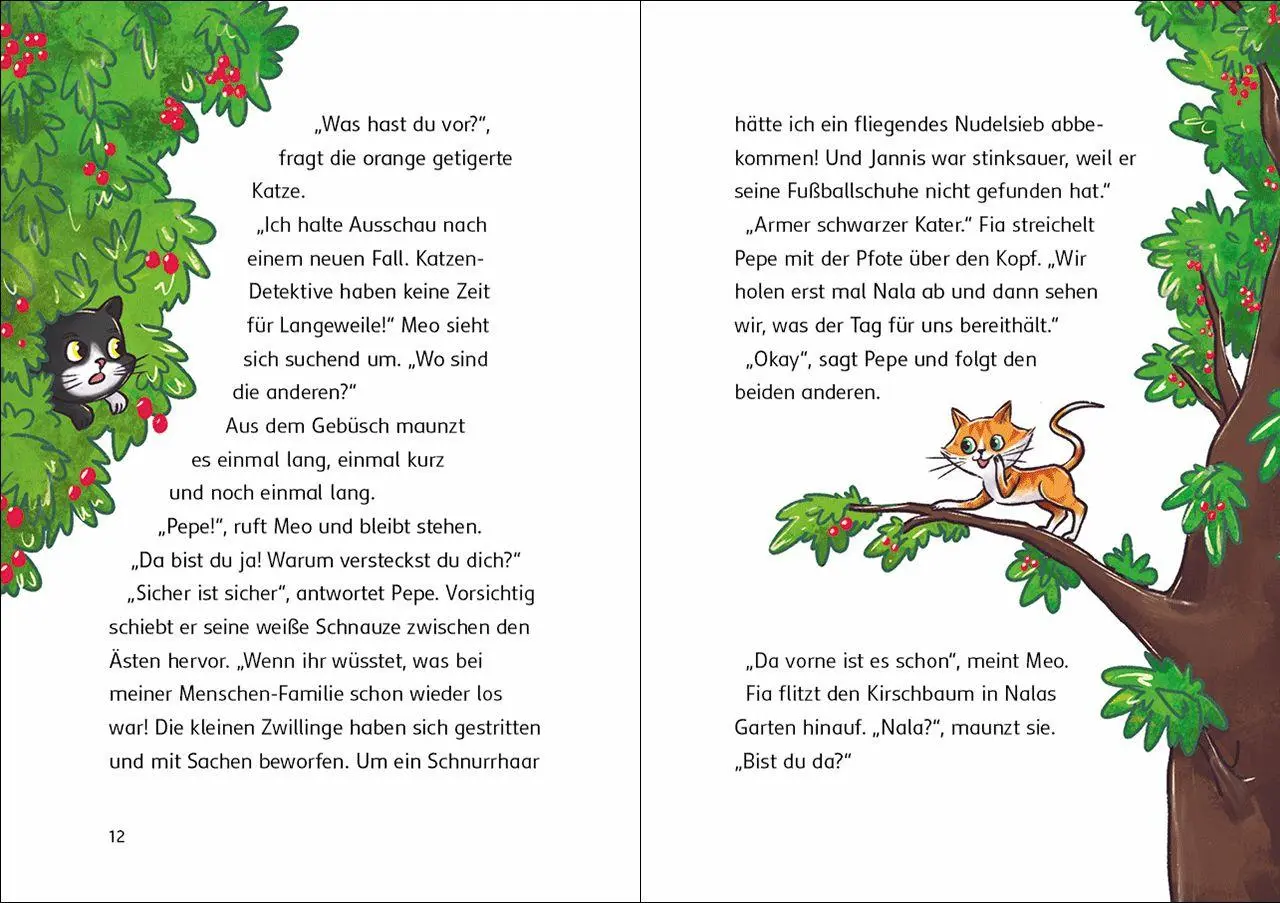 Bild: 9783743223691 | Die Katzen-Detektive (Band 1) - Ein Fall für die Samtpfoten | Frixe