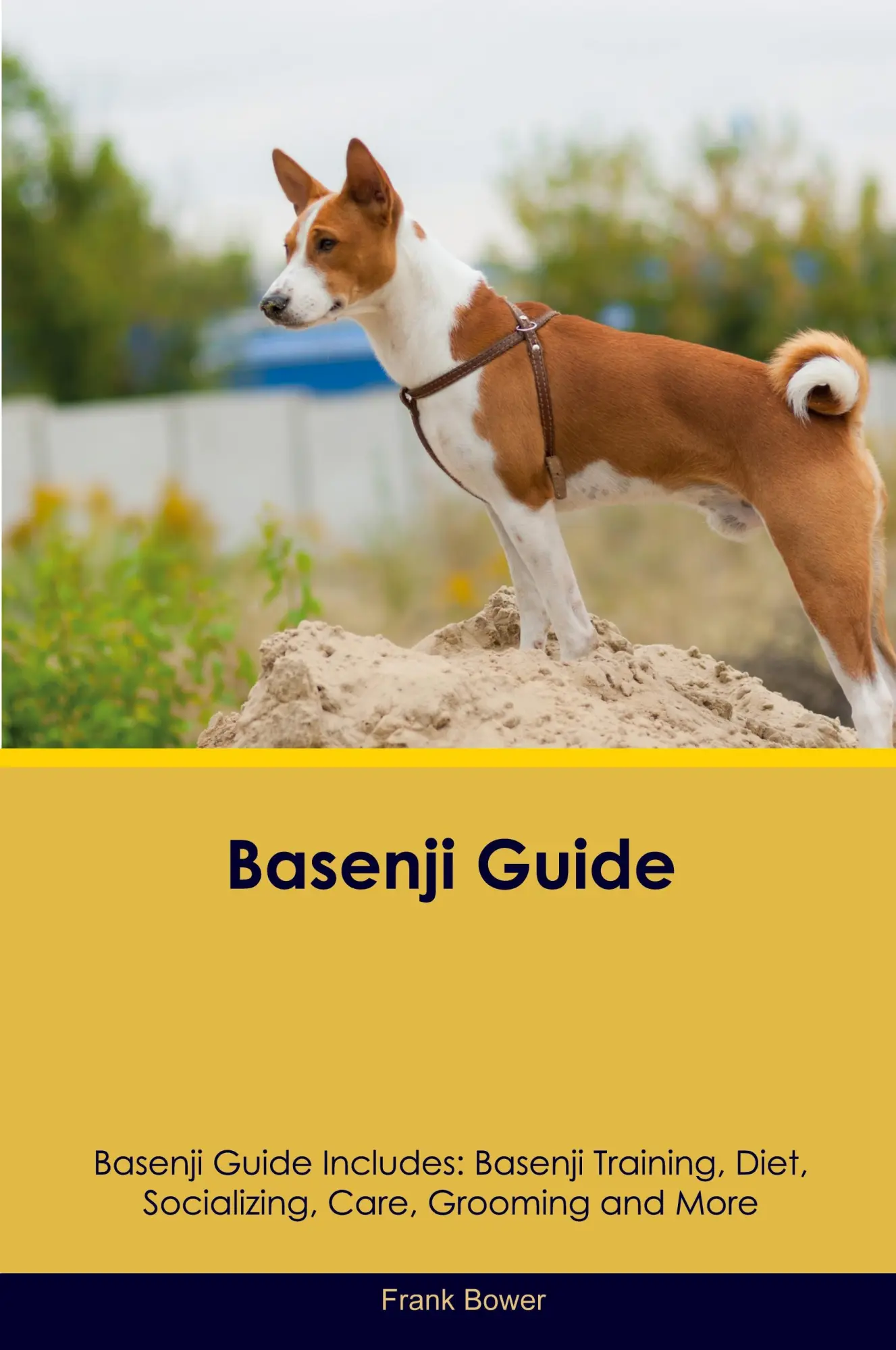 Cover: 9781395863791 | Basenji Guide Basenji Guide Includes | Frank Bower | Taschenbuch