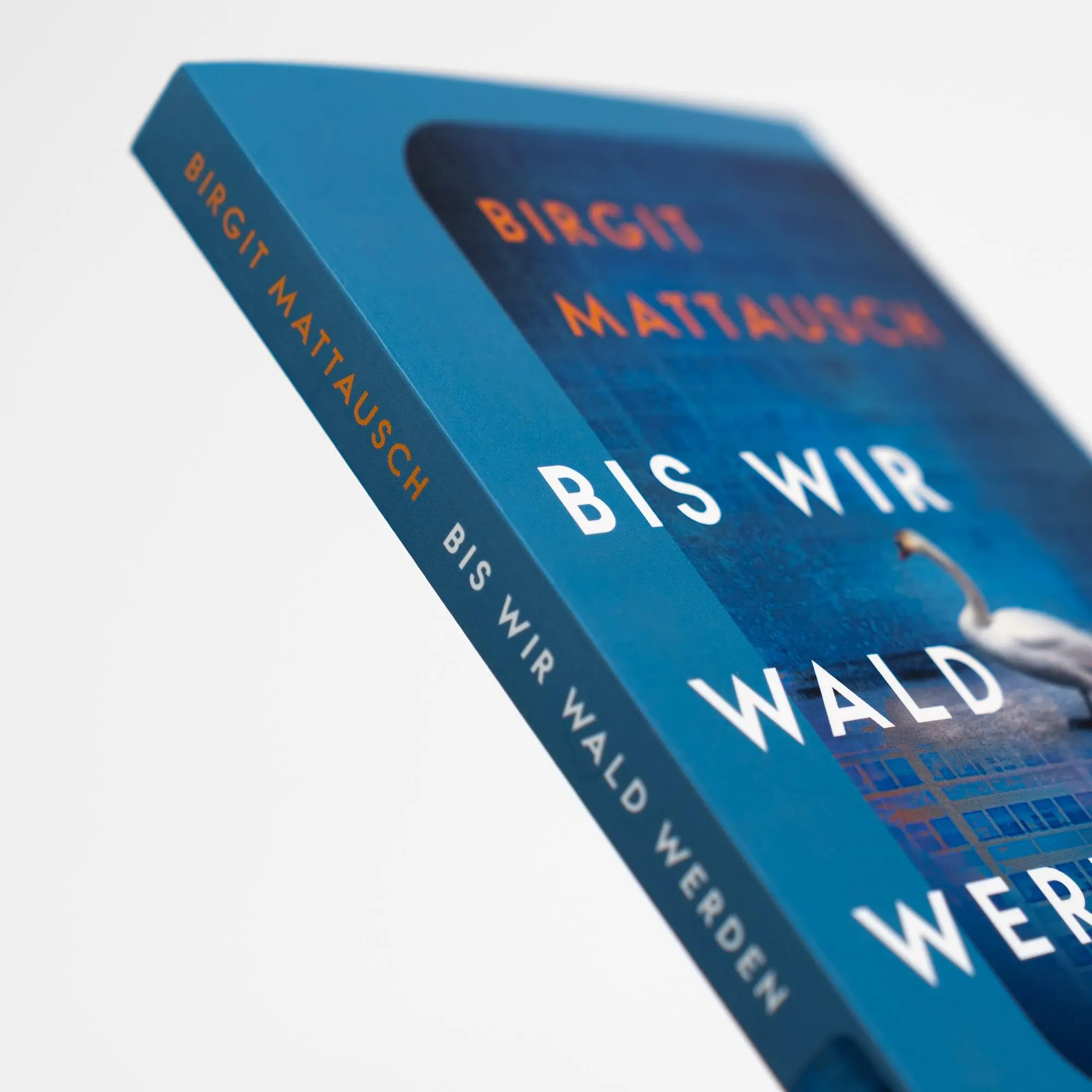 Bild: 9783312013791 | Bis wir Wald werden | Birgit Mattausch (u. a.) | Taschenbuch | 176 S.