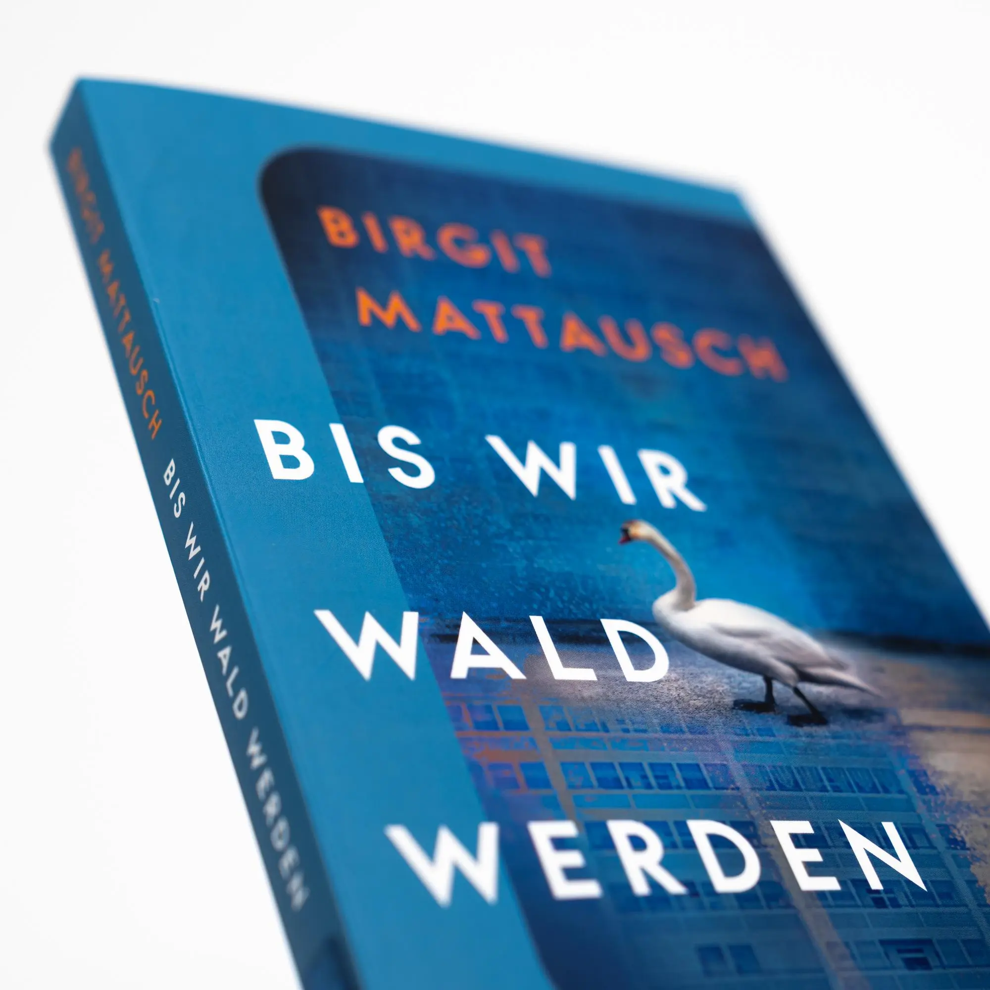 Bild: 9783312013791 | Bis wir Wald werden | Birgit Mattausch (u. a.) | Taschenbuch | 176 S.