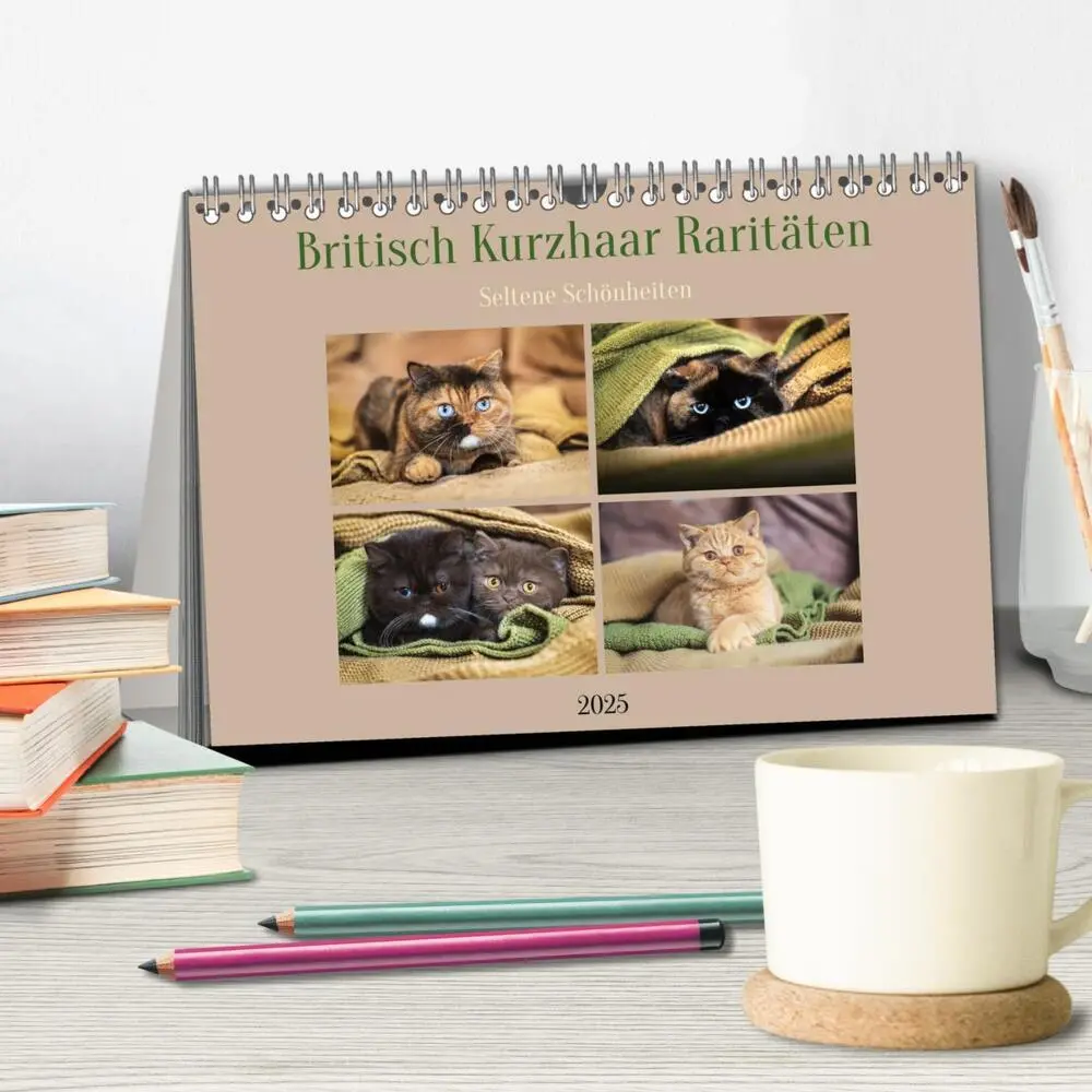 Bild: 9783383783791 | Britisch Kurzhaar Raritäten - seltene Schönheiten (Tischkalender...