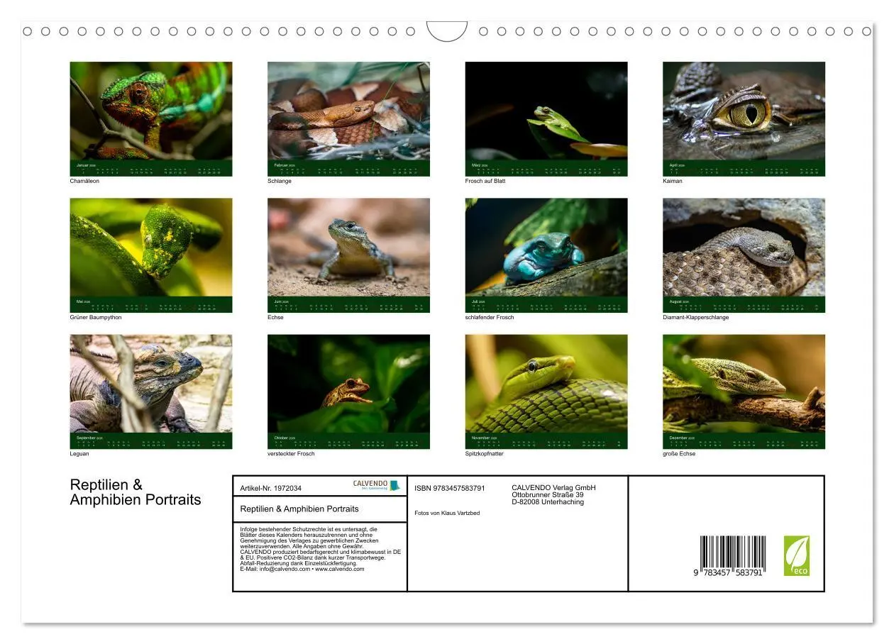 Bild: 9783457583791 | Reptilien &amp; Amphibien Portraits (Wandkalender 2026 DIN A3 quer),...