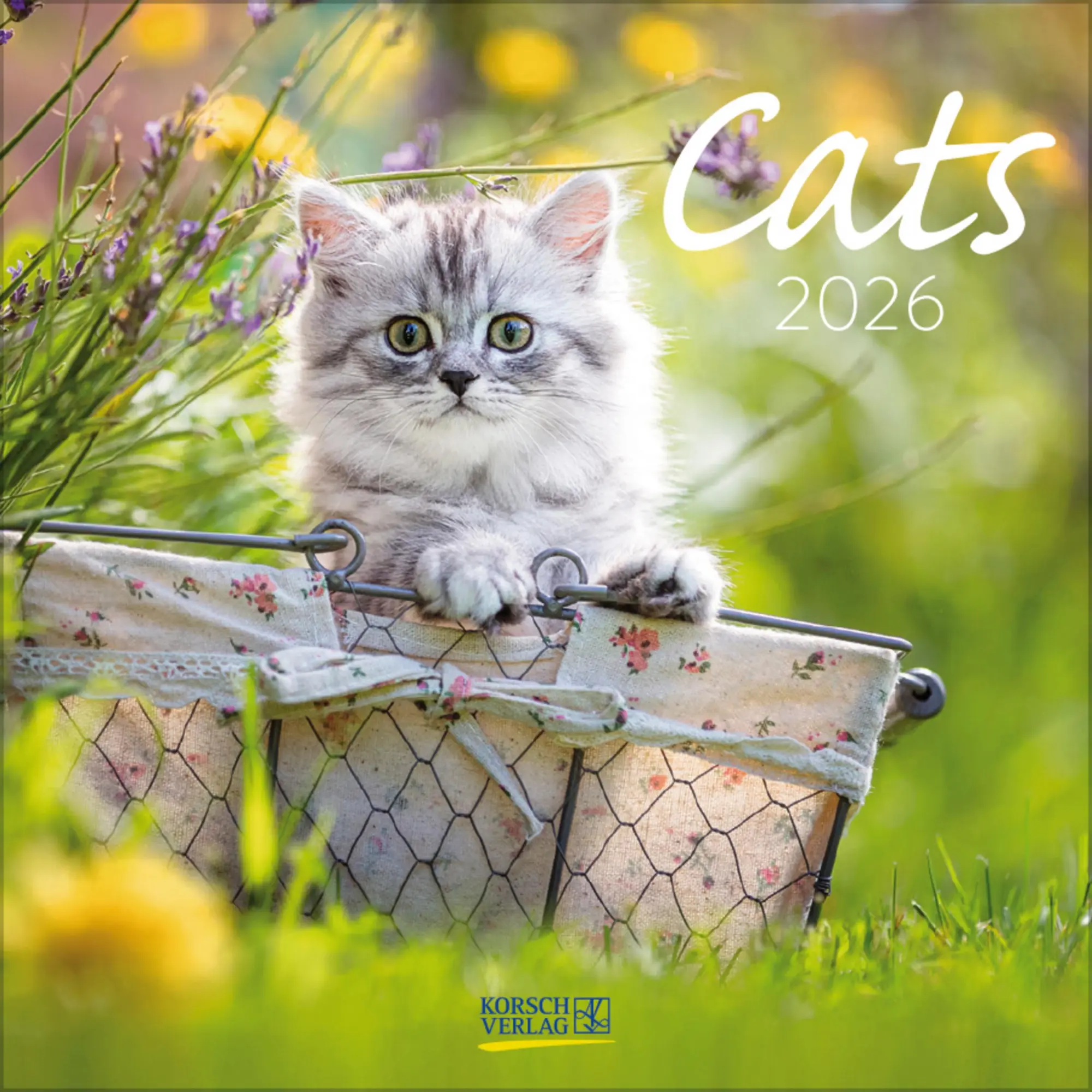 Cover: 9783731883791 | Cats 2026 | Verlag Korsch | Kalender | 13 S. | Deutsch | 2026