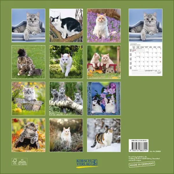 Bild: 9783731883791 | Cats 2026 | Verlag Korsch | Kalender | 13 S. | Deutsch | 2026