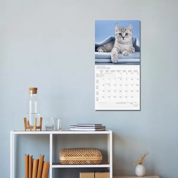 Bild: 9783731883791 | Cats 2026 | Verlag Korsch | Kalender | 13 S. | Deutsch | 2026