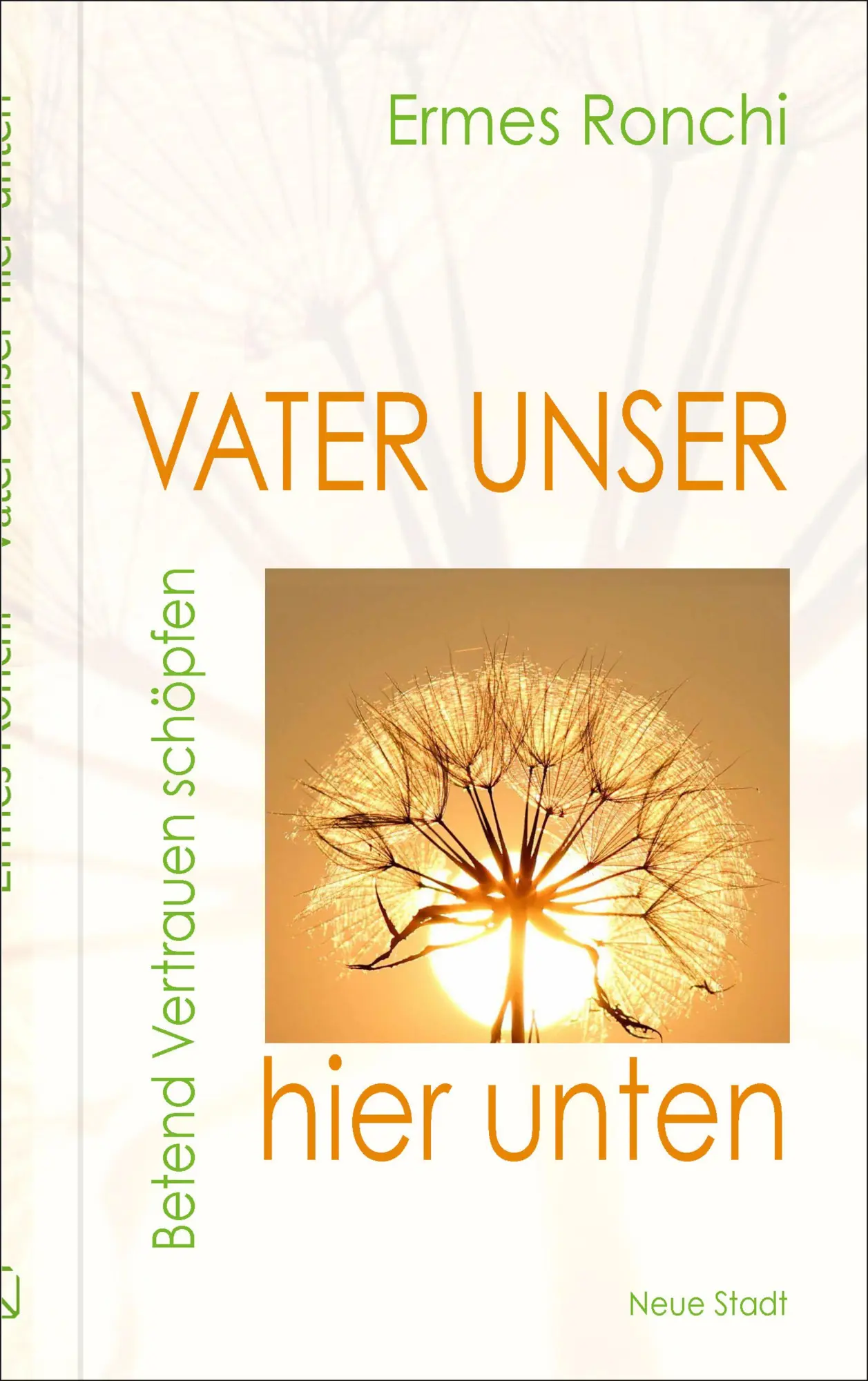Cover: 9783734613791 | Vater unser hier unten | Betend Vertrauen schöpfen | Ermes Ronchi