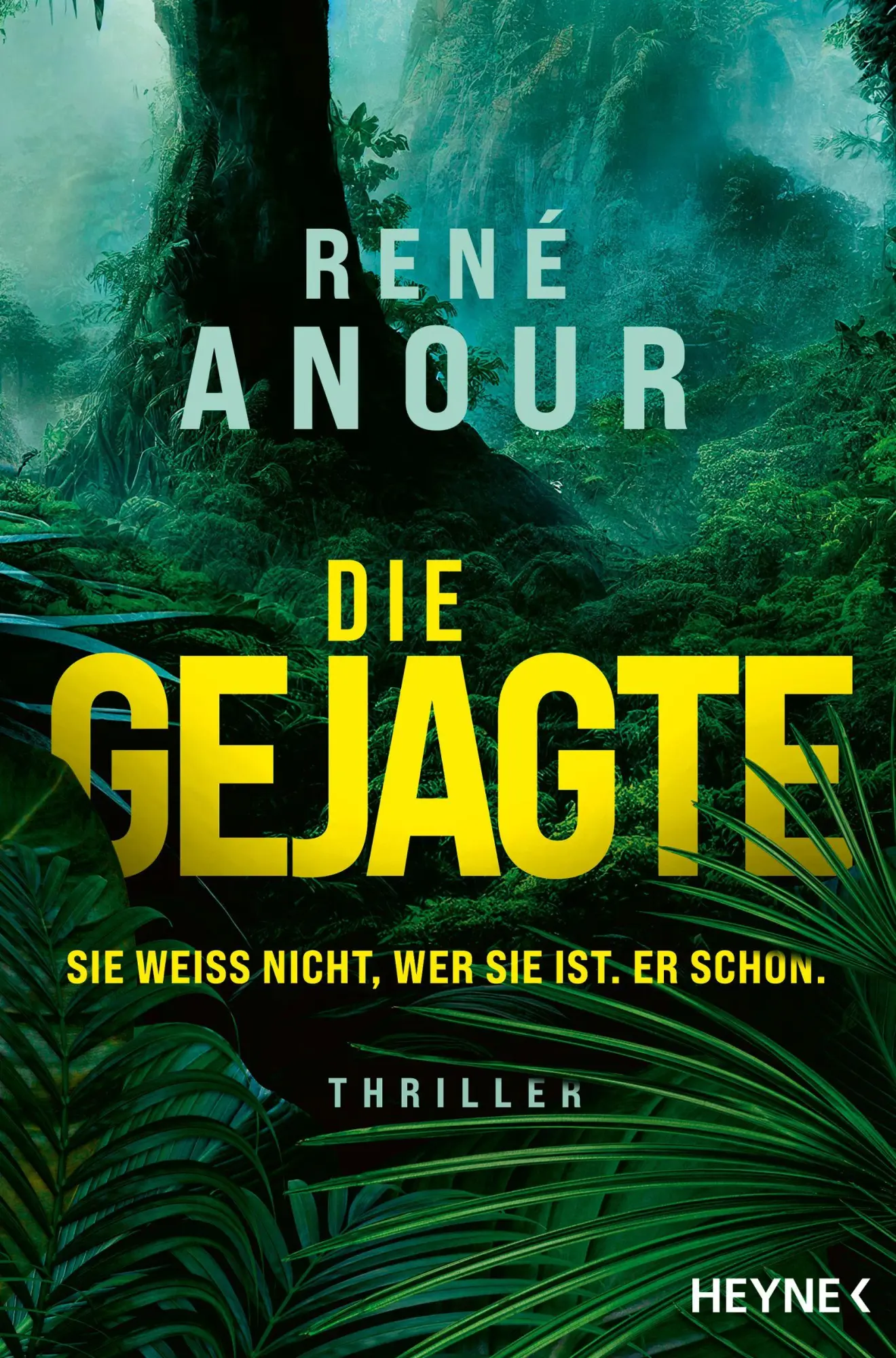 Cover: 9783453443891 | Die Gejagte - Sie weiß nicht, wer sie ist. Er schon. | Thriller | Buch