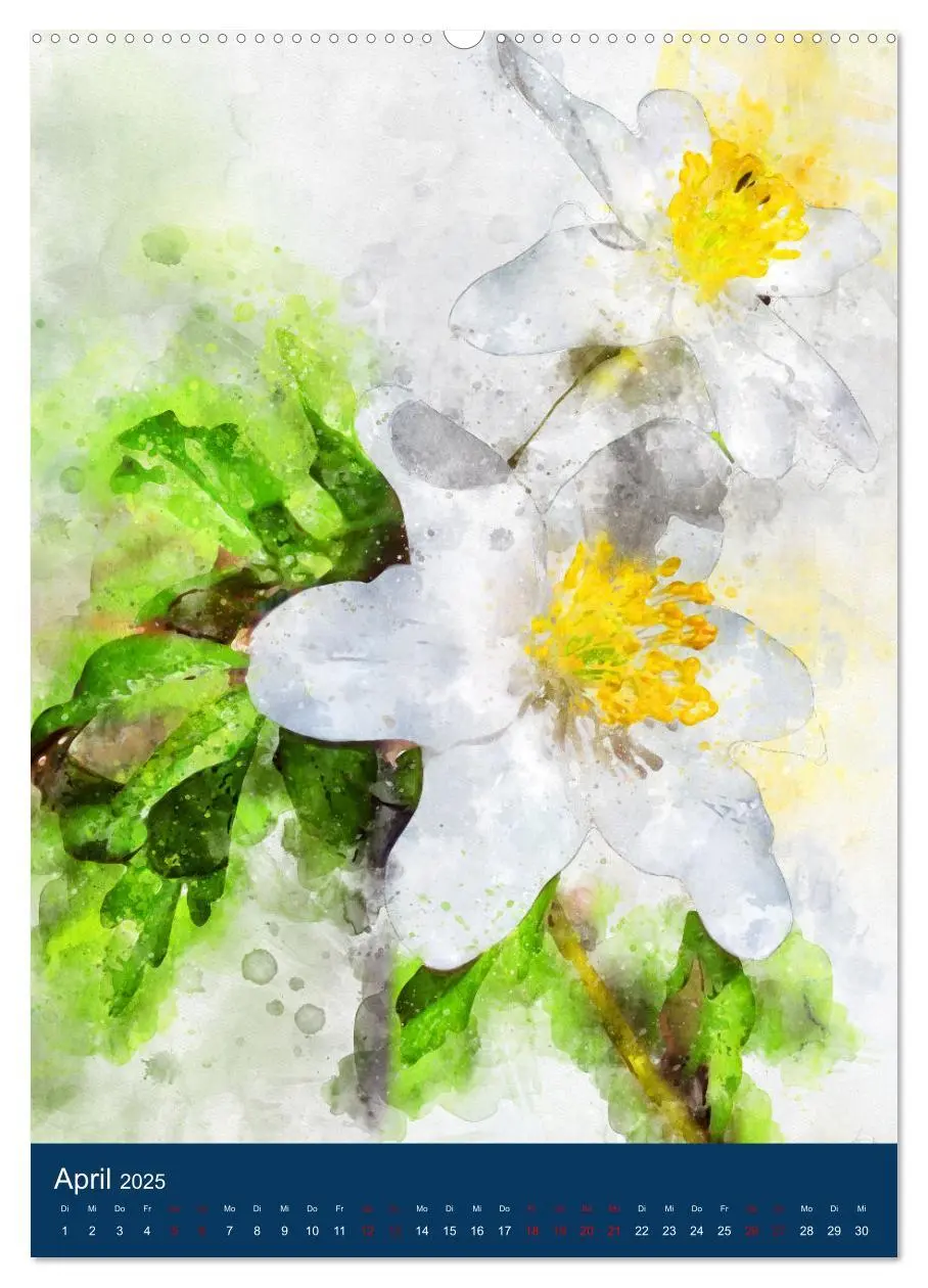 Bild: 9783435923991 | Wilde Blumen - Illustrierter Blütenzauber der Pflanzenwelt...