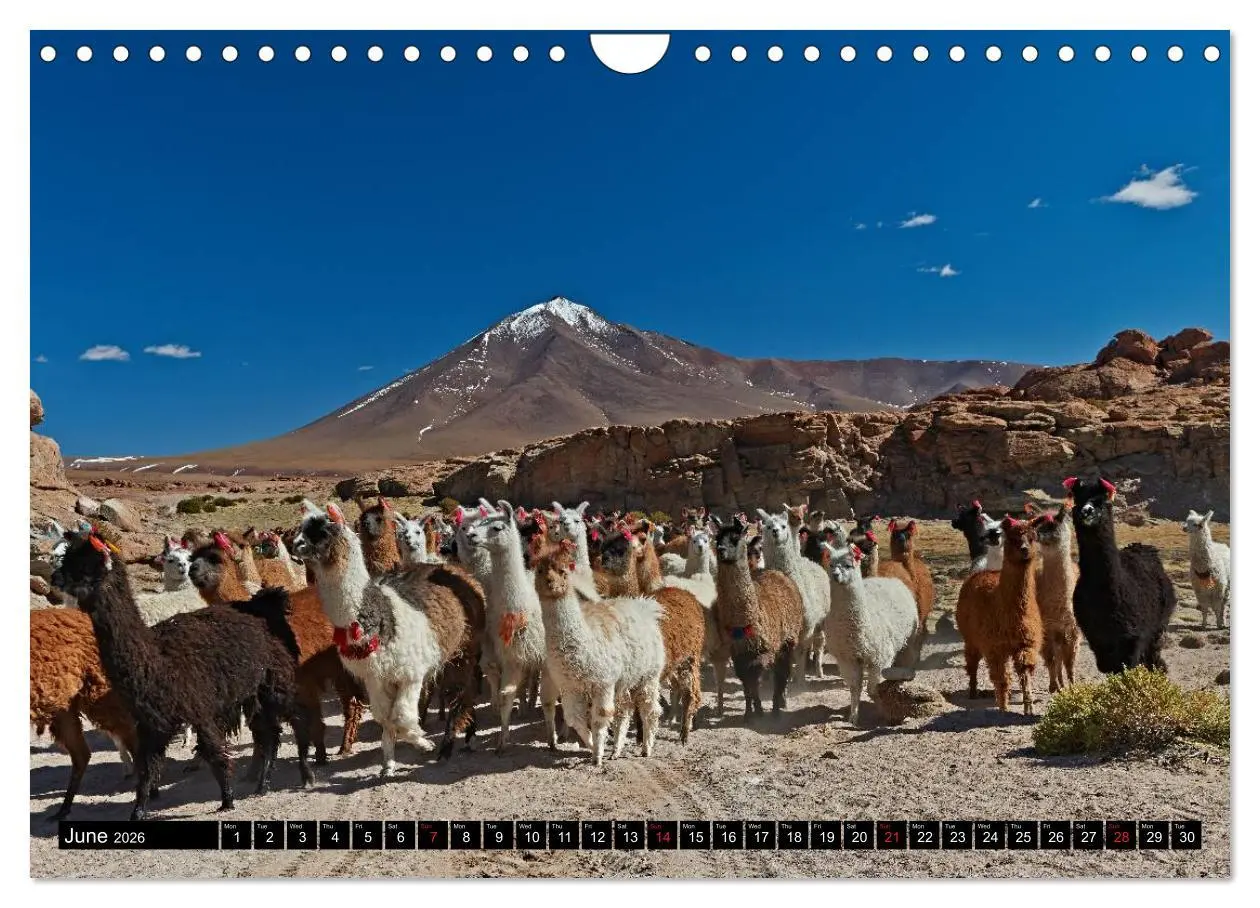 Bild: 9783516583991 | Bolivia Andean landscapes / UK-Version (Wall Calendar 2026 DIN A4...