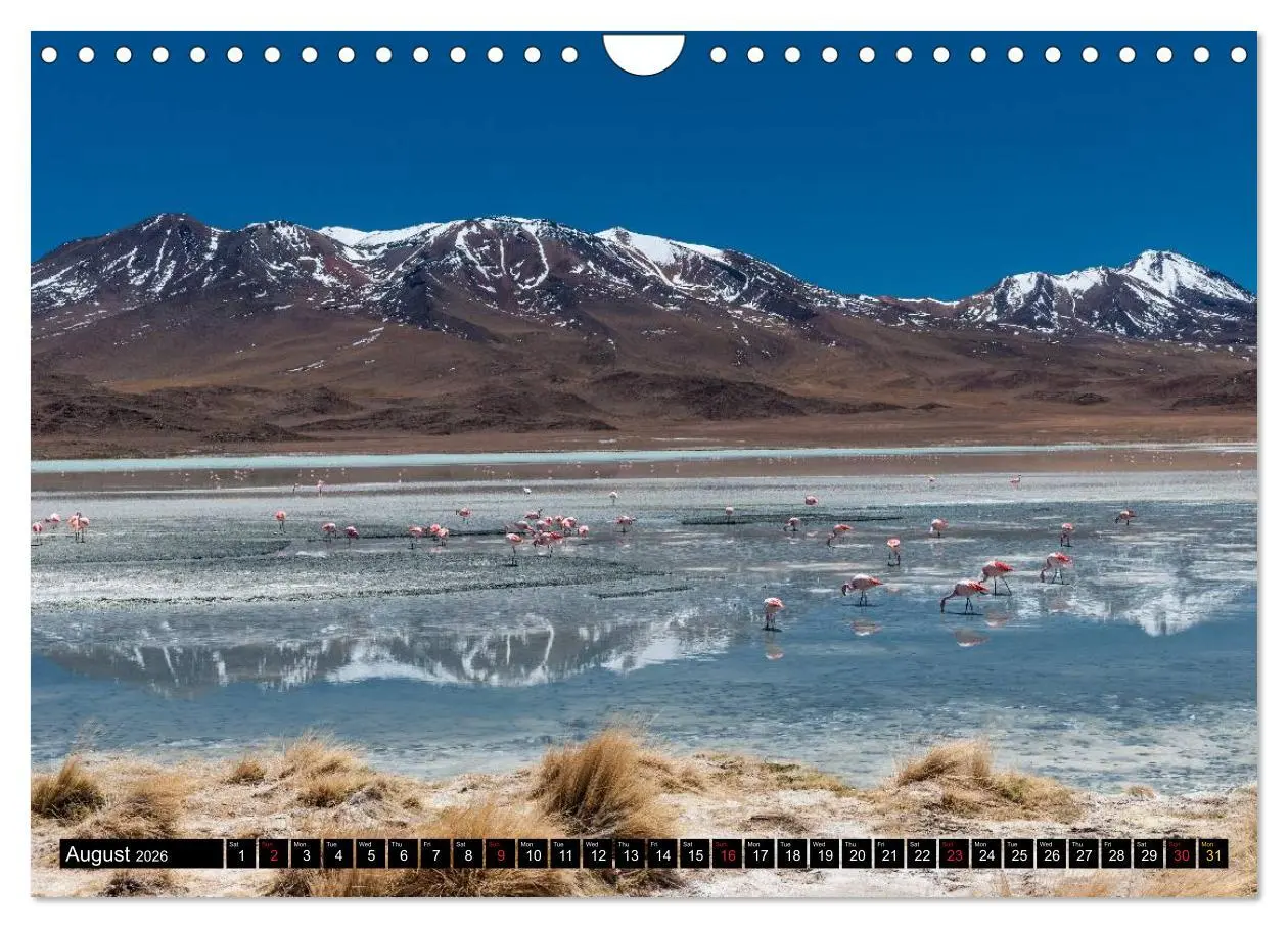 Bild: 9783516583991 | Bolivia Andean landscapes / UK-Version (Wall Calendar 2026 DIN A4...