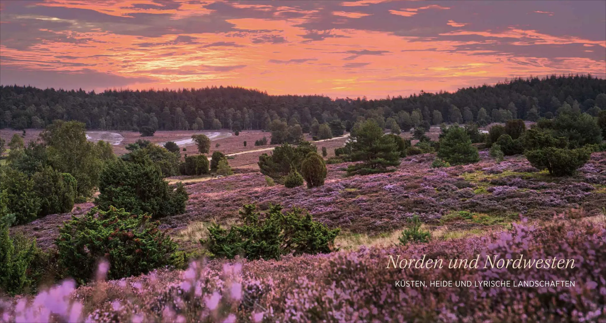 Bild: 9783954163991 | Bildband - Deutschland | Yannick Scherthan (u. a.) | Buch | 192 S.