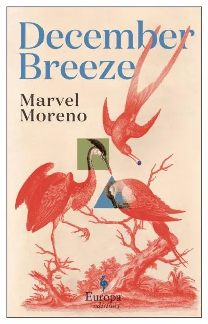 Cover: 9781787704091 | December Breeze | A masterful novel on womanhood in Colombia | Moreno